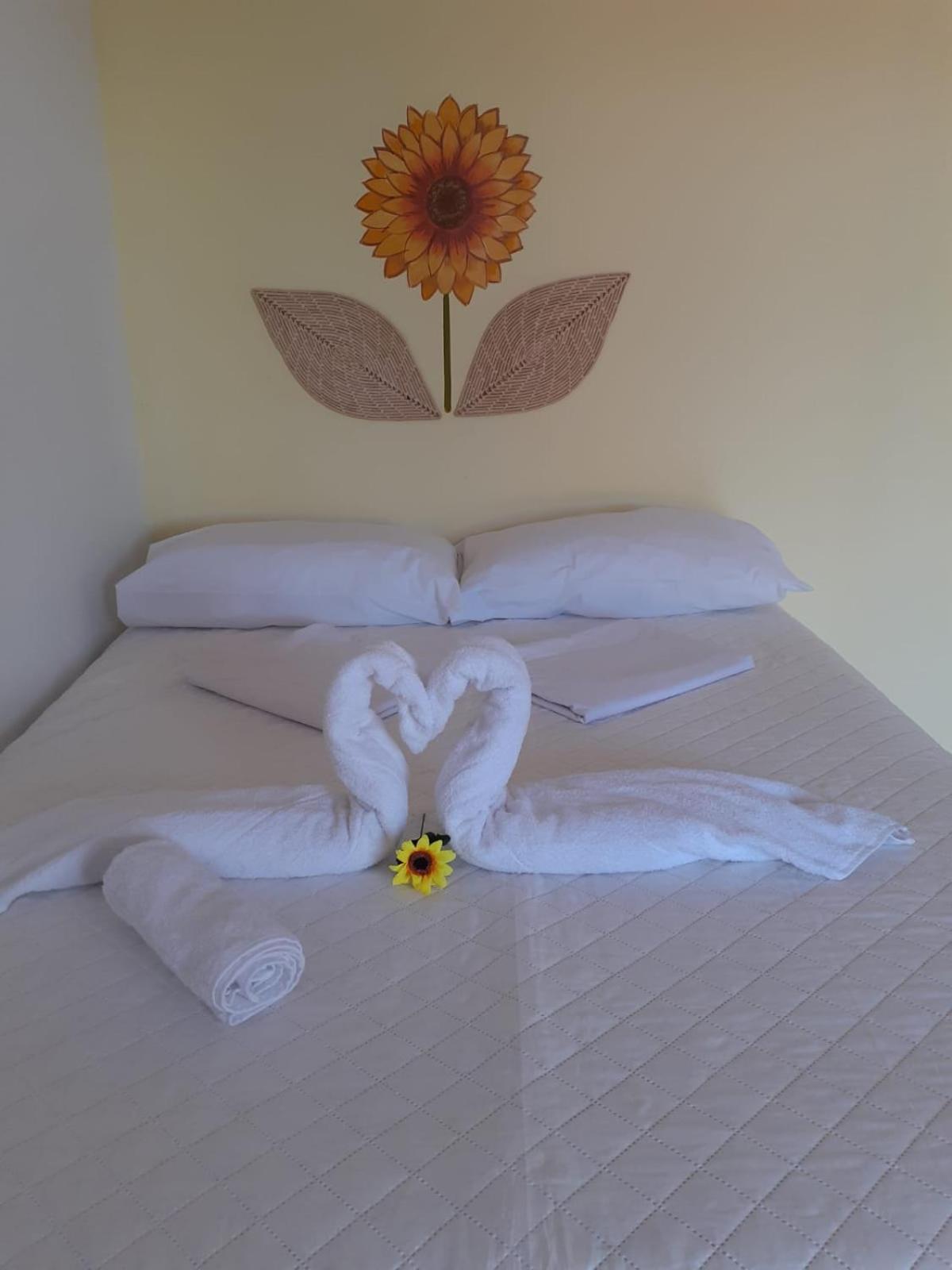 Standard Double Suite photo 3