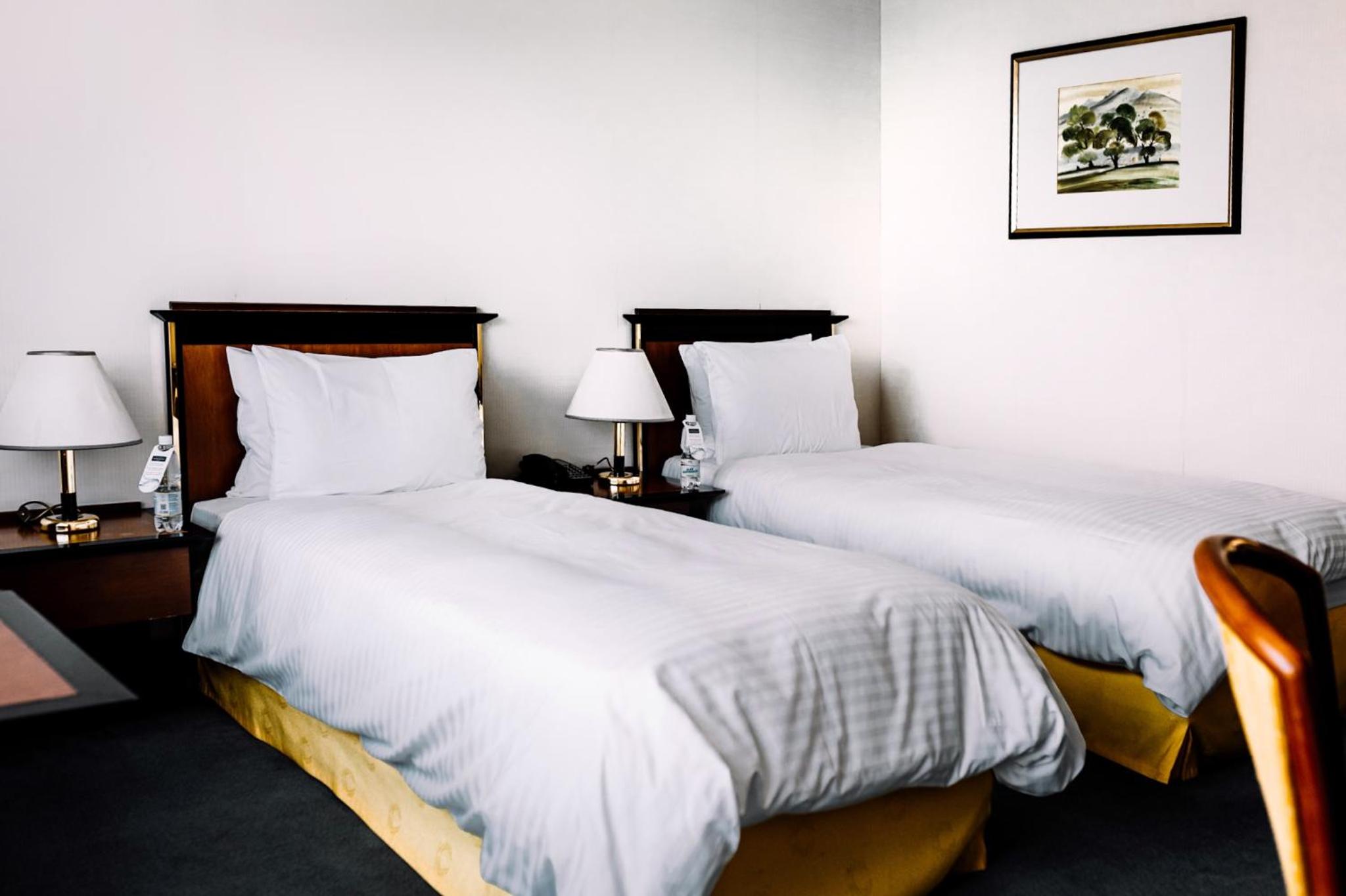 Standard Twin Room photo 1