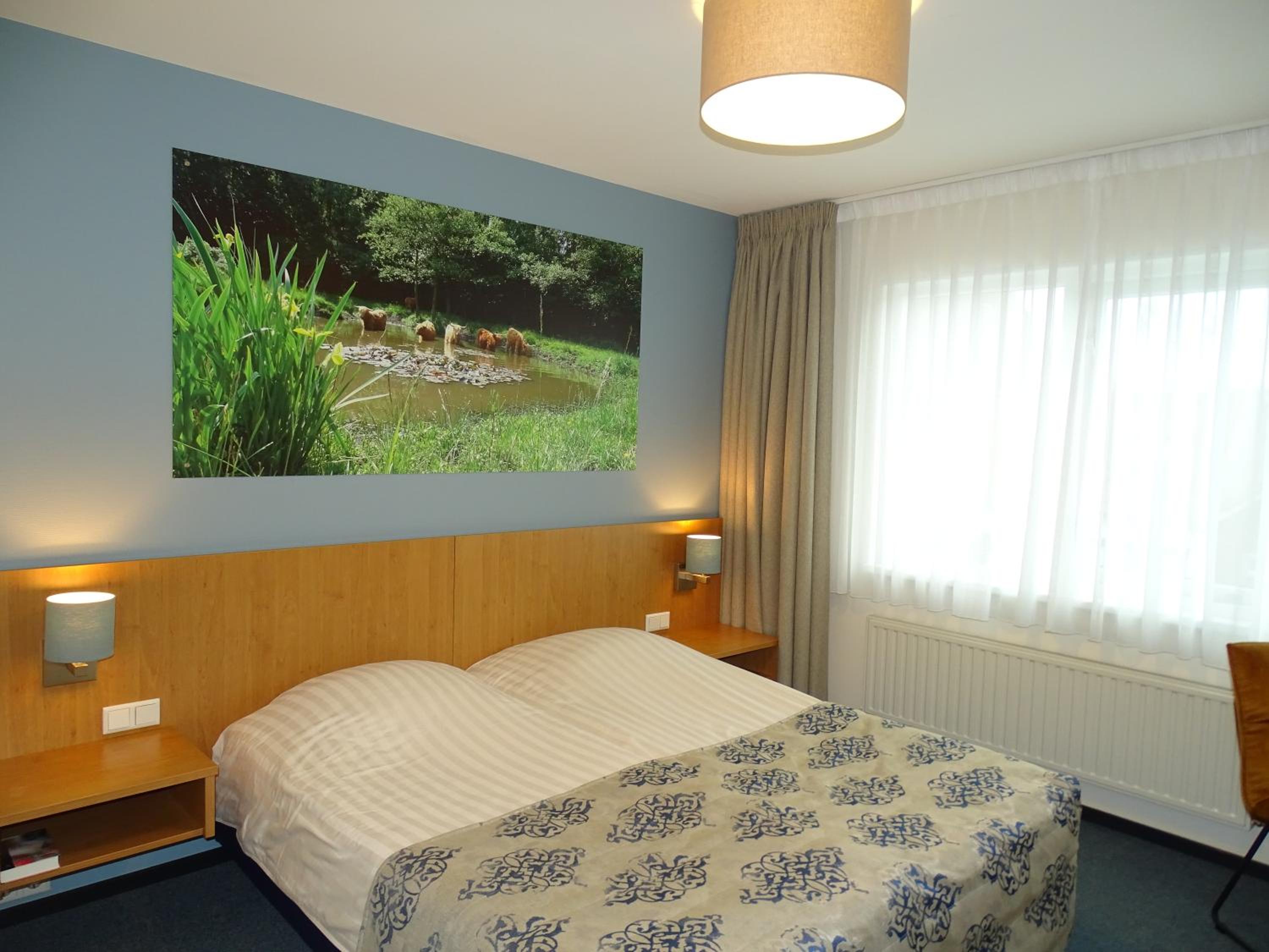 Deluxe Twin Room photo 2