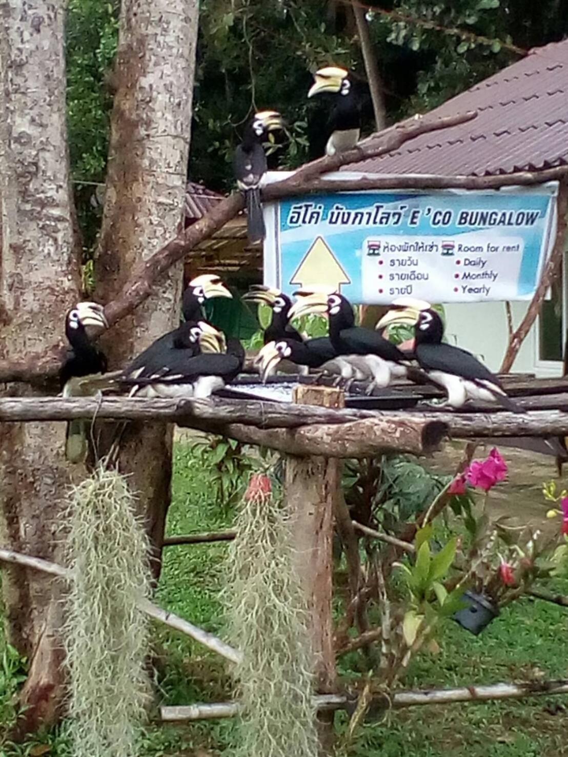 Bungalow with Fan - Photo 4