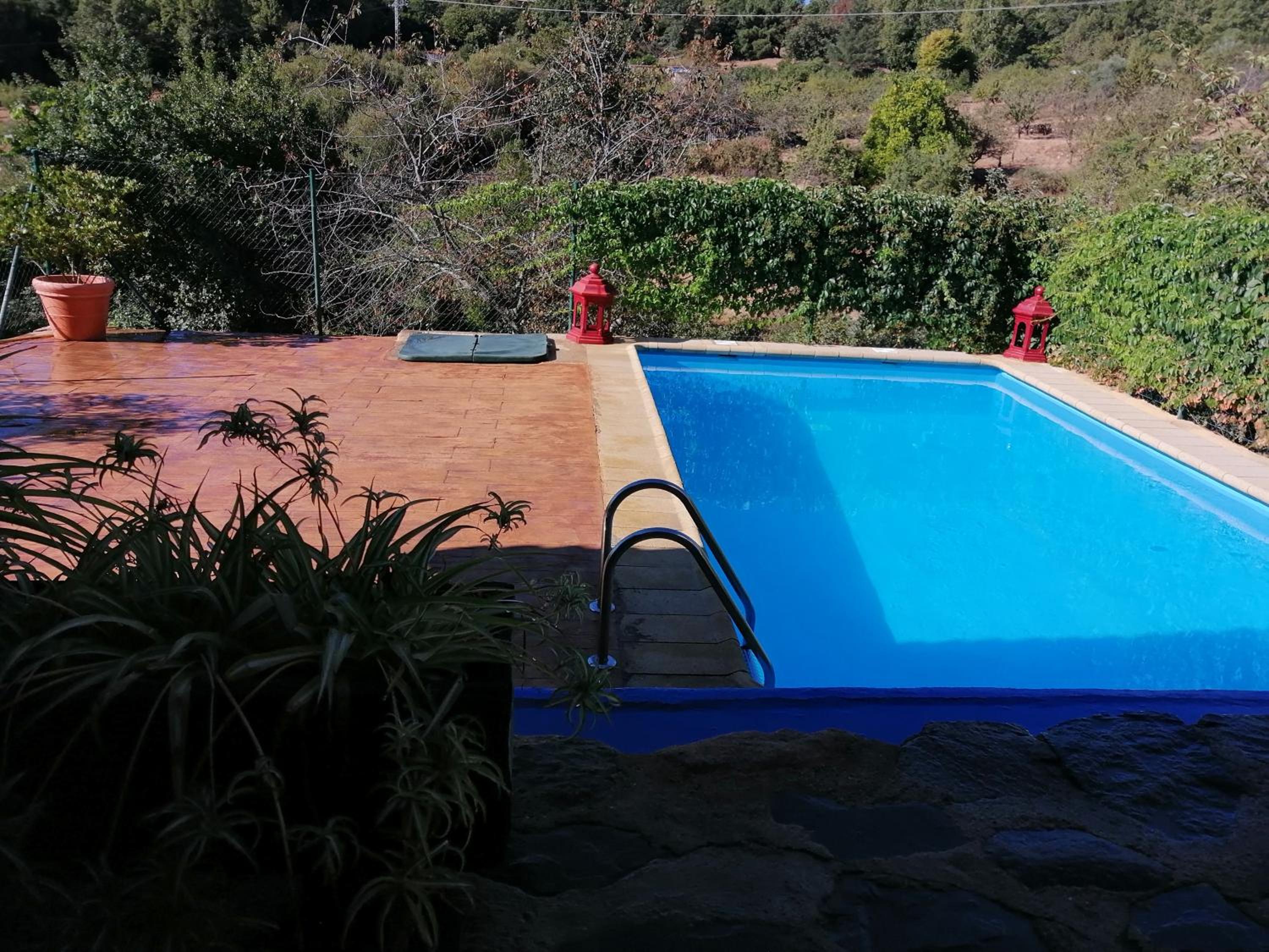 One-Bedroom Apartment with Garden (2 Adults)  photo 2