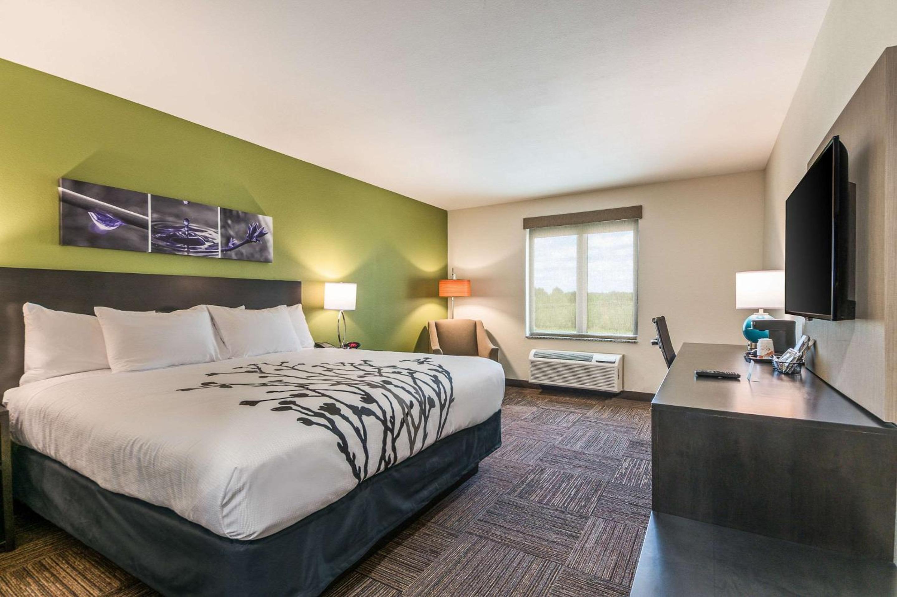King Room - Non-Smoking - Photo 1