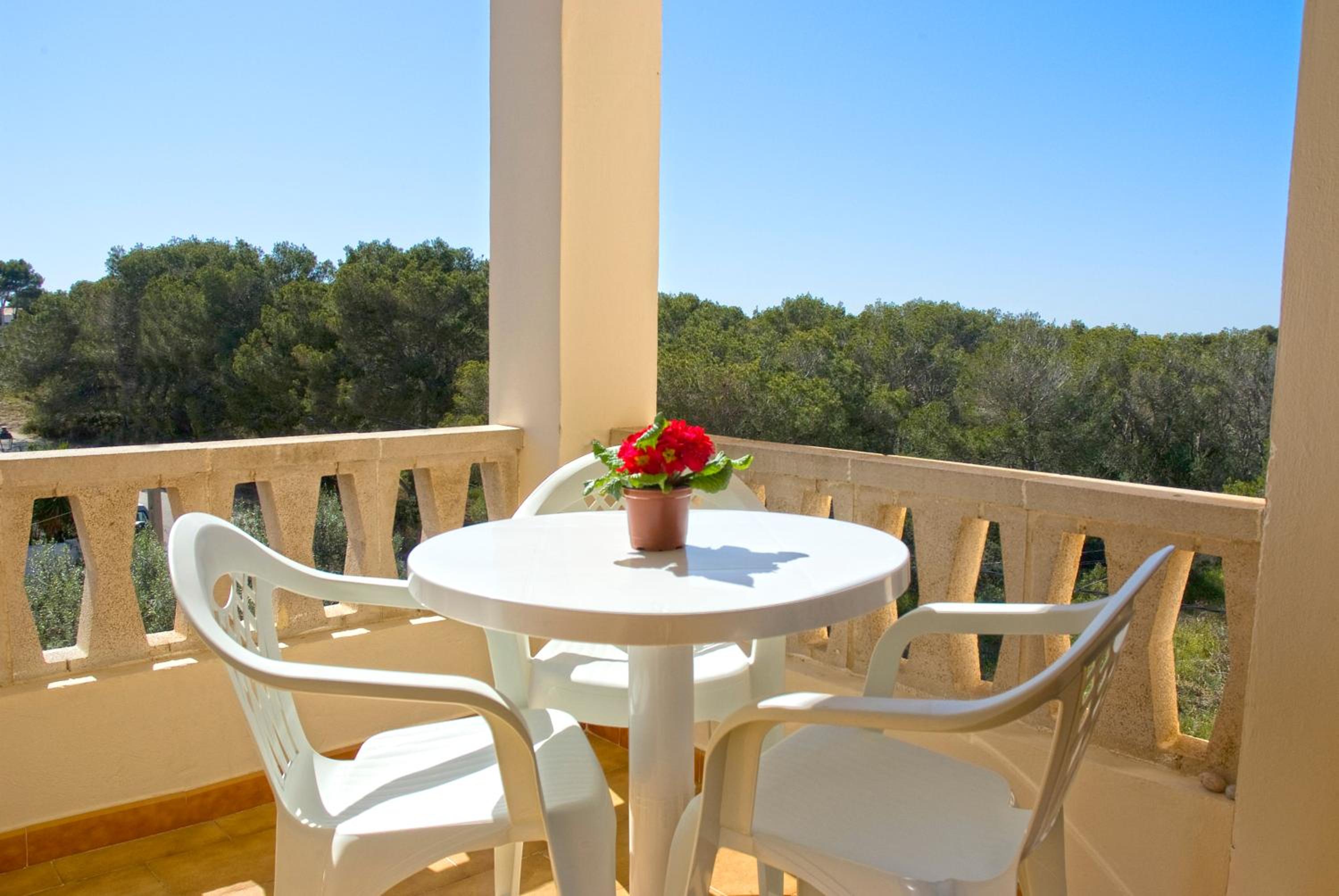 Economy One Bedroom Apartment with Kitchen (2-3-4 Adults)