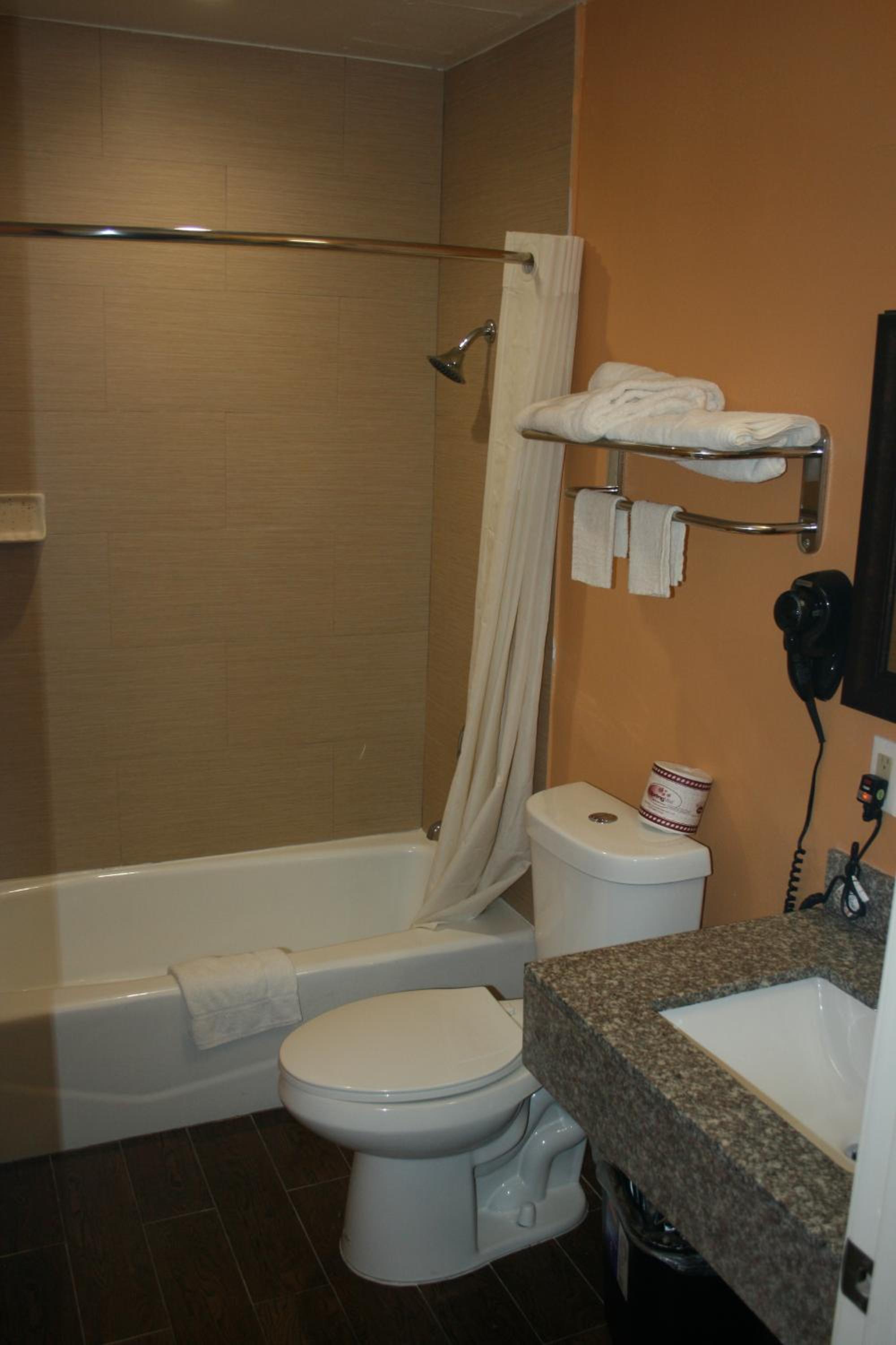 Deluxe Queen Suite photo 3