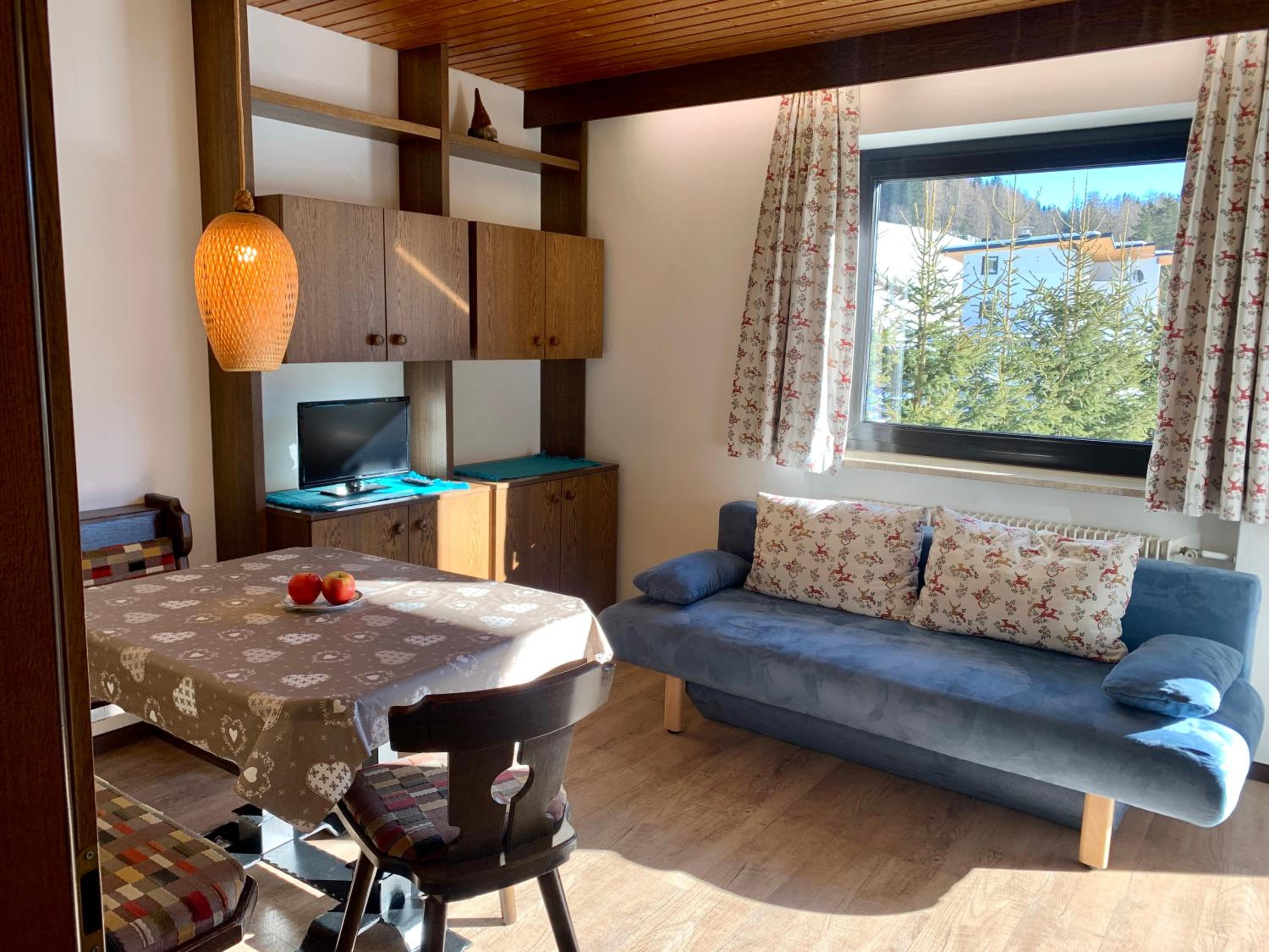 Apartment with Mountain View