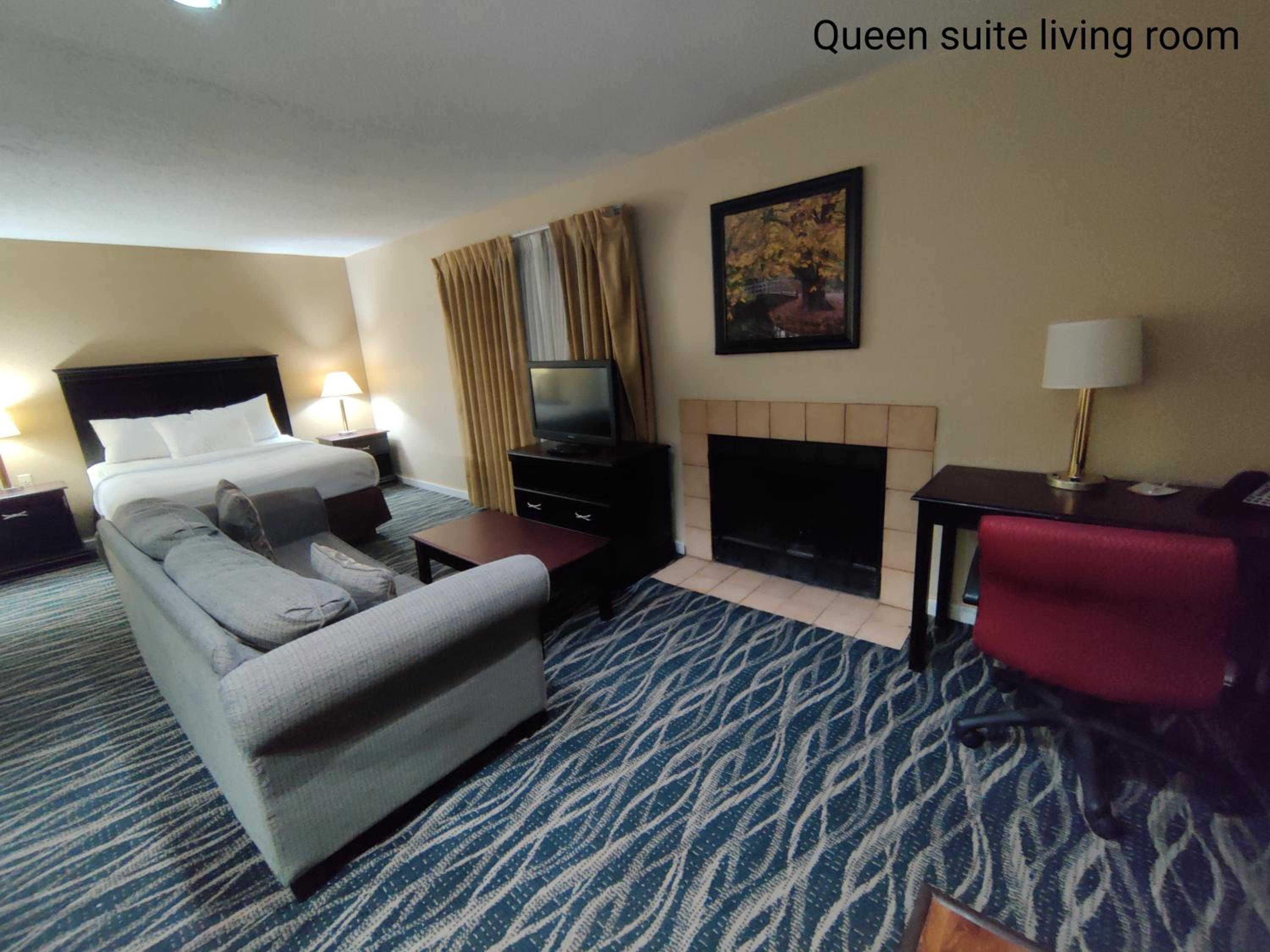 Queen Studio Suite - Non-Smoking - Photo 9