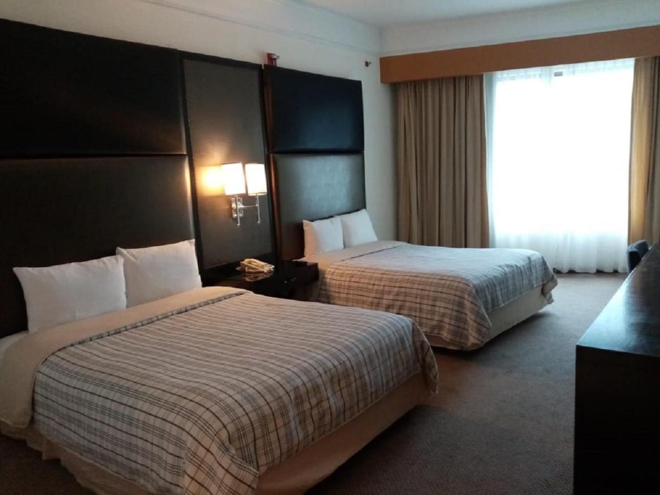 Twin Room - Photo 1