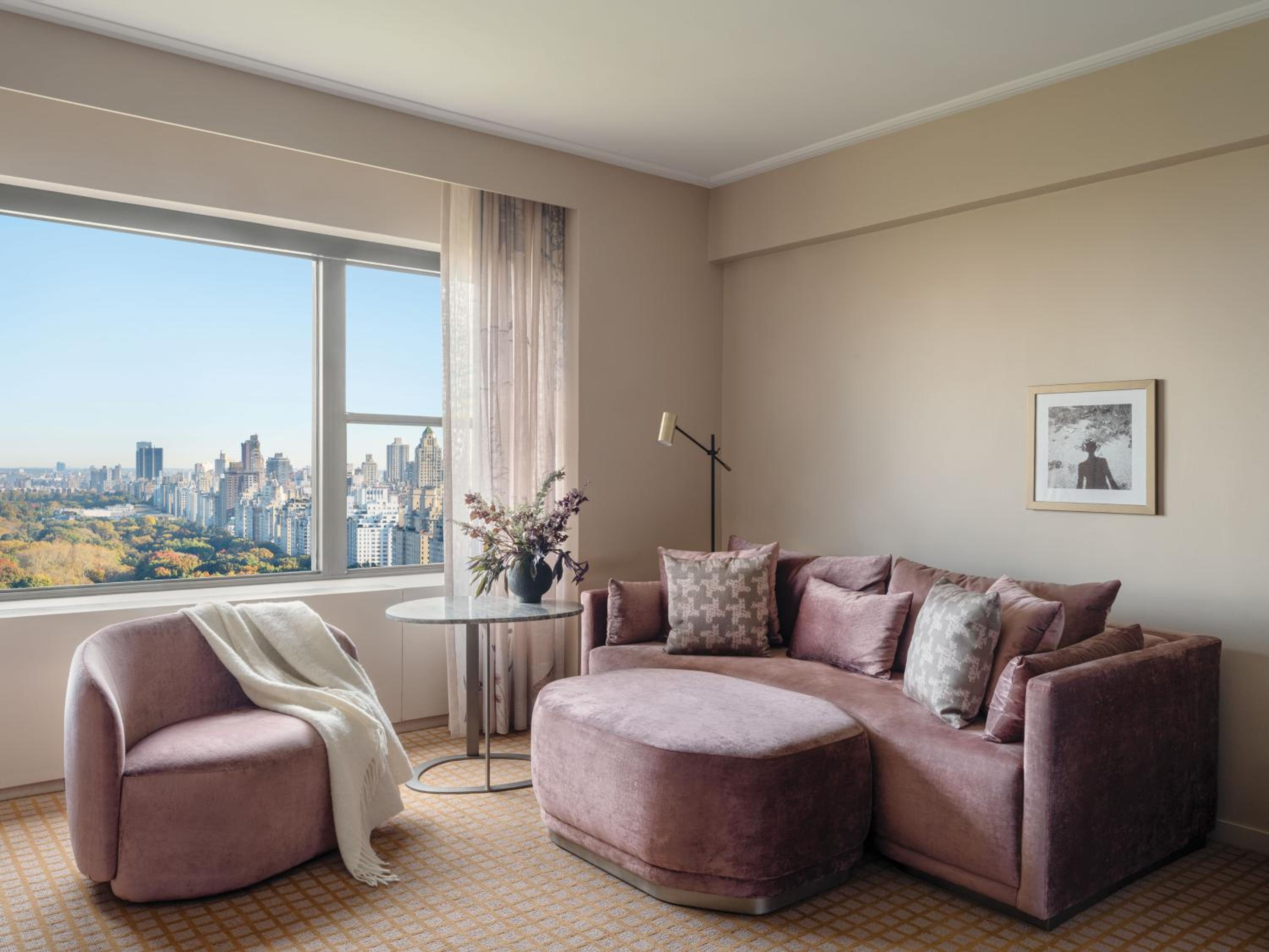 Panoramic Park View Studio Suite