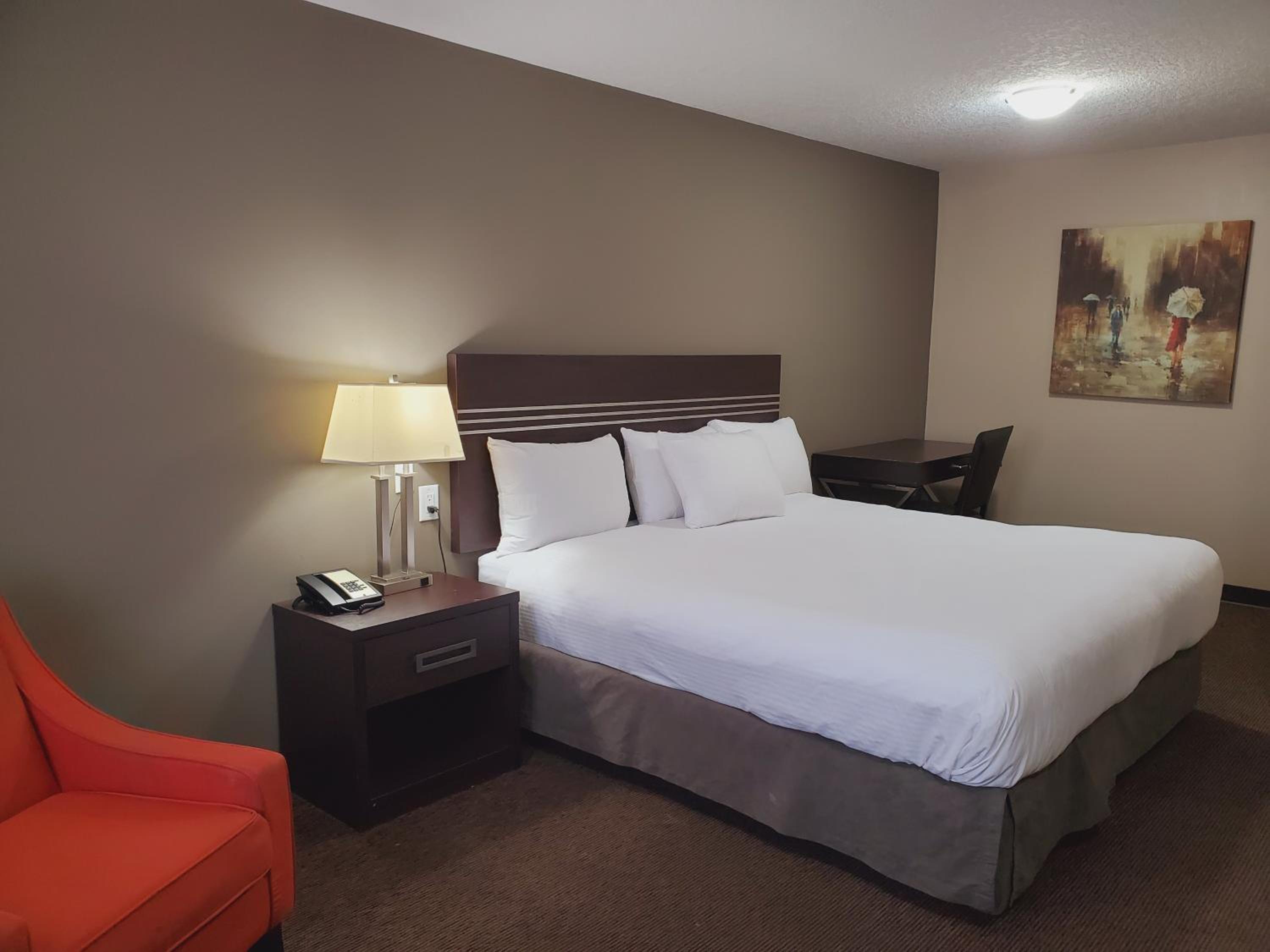 King Room photo 1