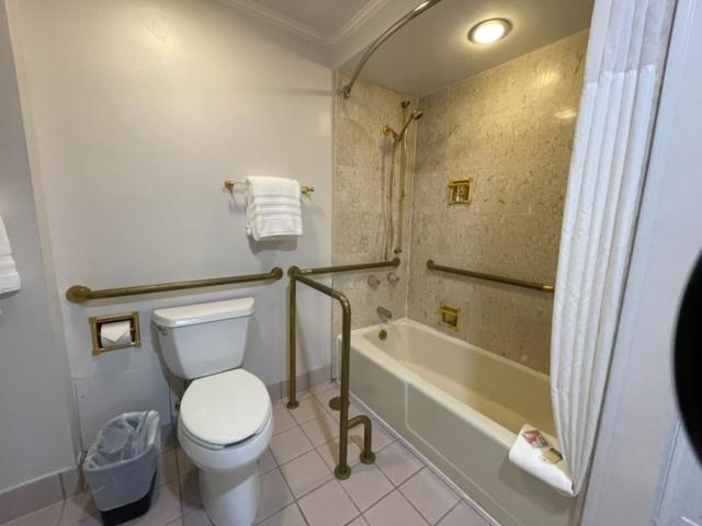 Queen Studio - Disability Access - Photo 2