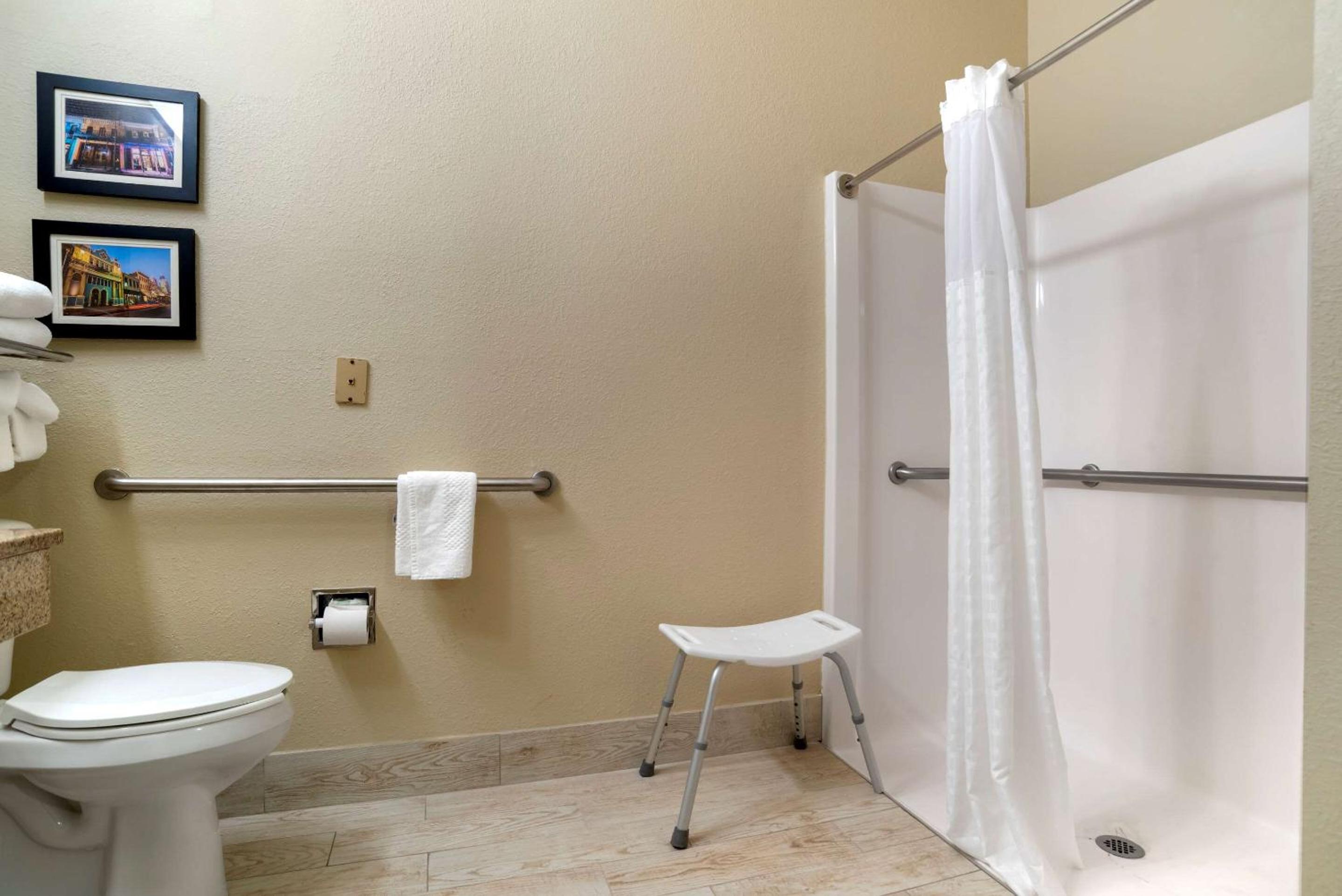 King Suite with Shower - Accessible/Non-Smoking - Photo 4