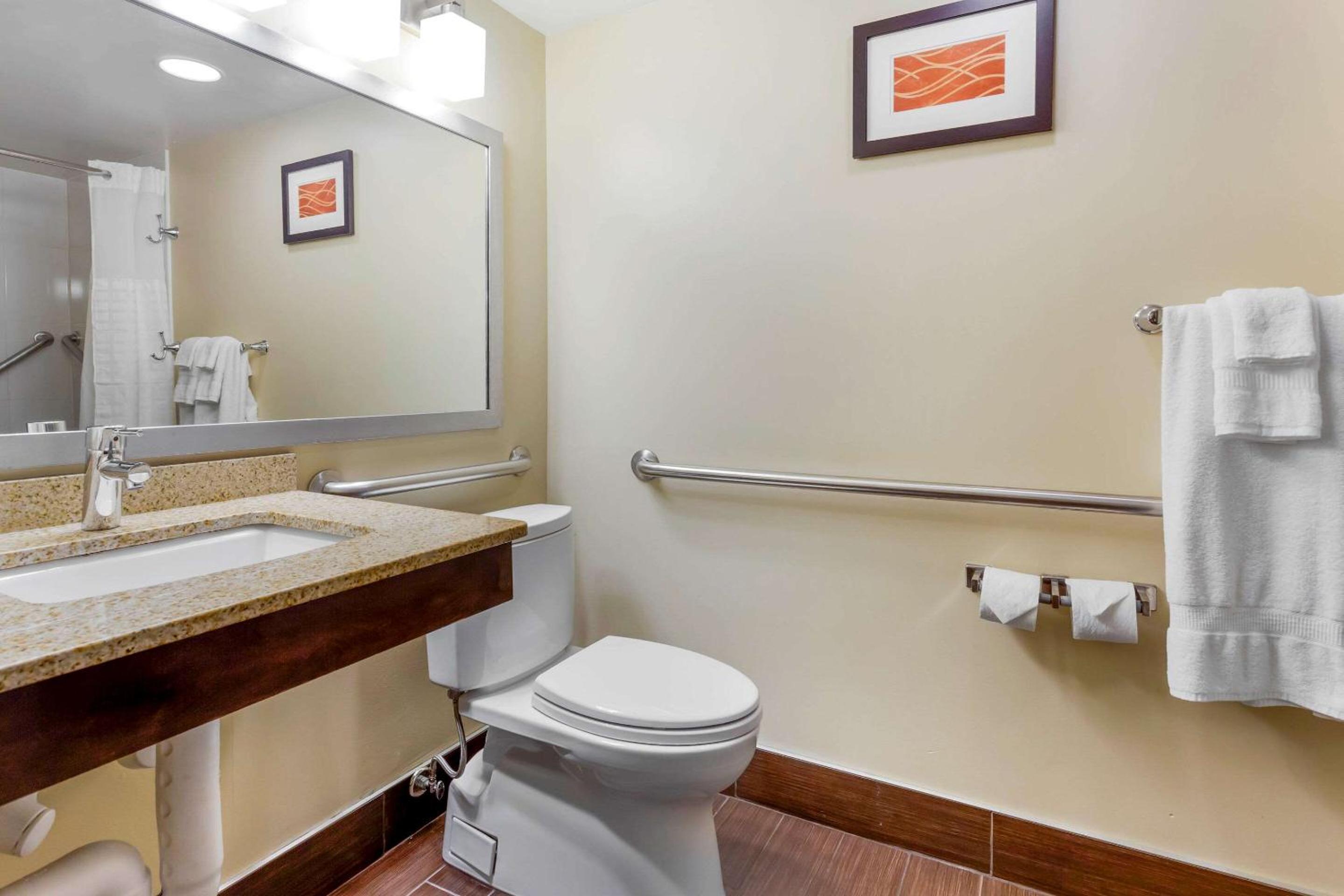 Standard King Room with Tub - Accessible/Non-Smoking - Photo 3