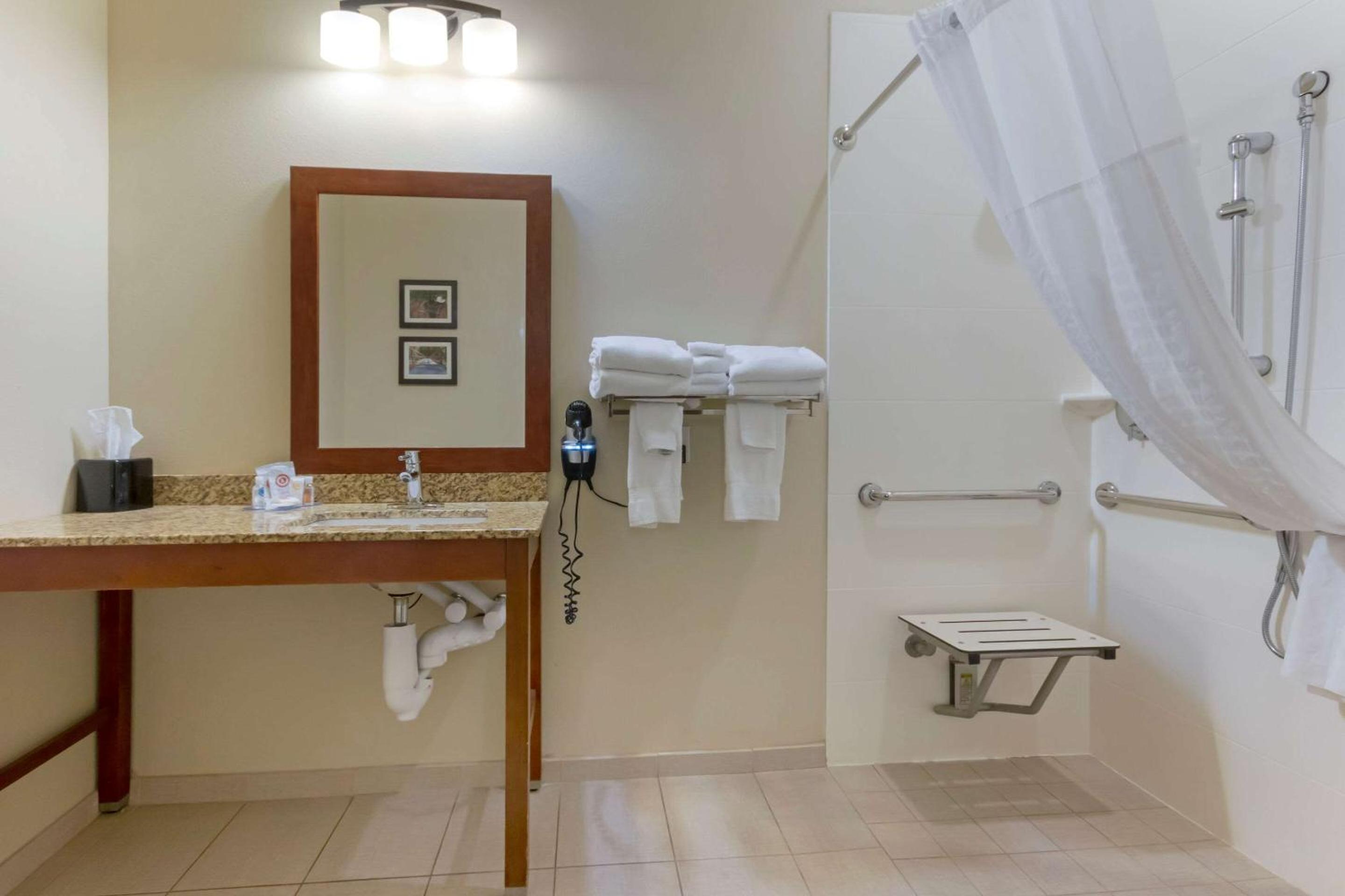 King Suite with Roll-In Shower - Accessible/Non-Smoking photo 2