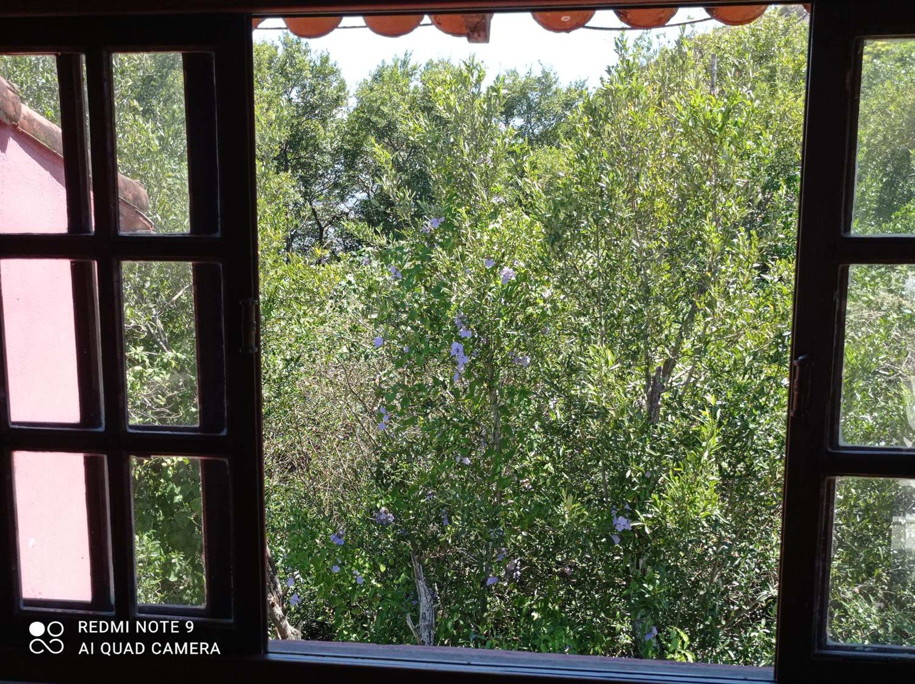 Loft - Photo 36