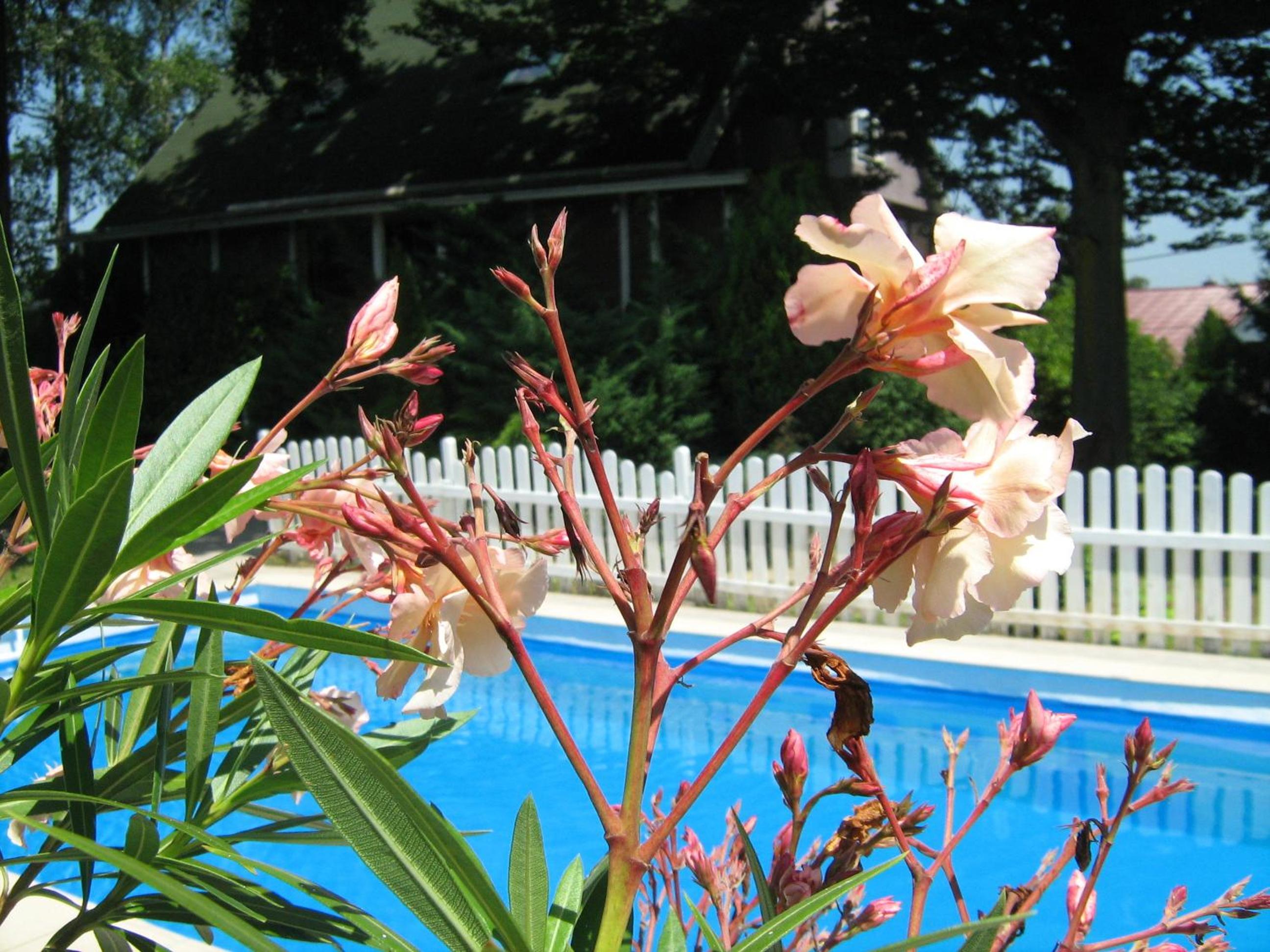 Apartment with Pool View  - Photo 11