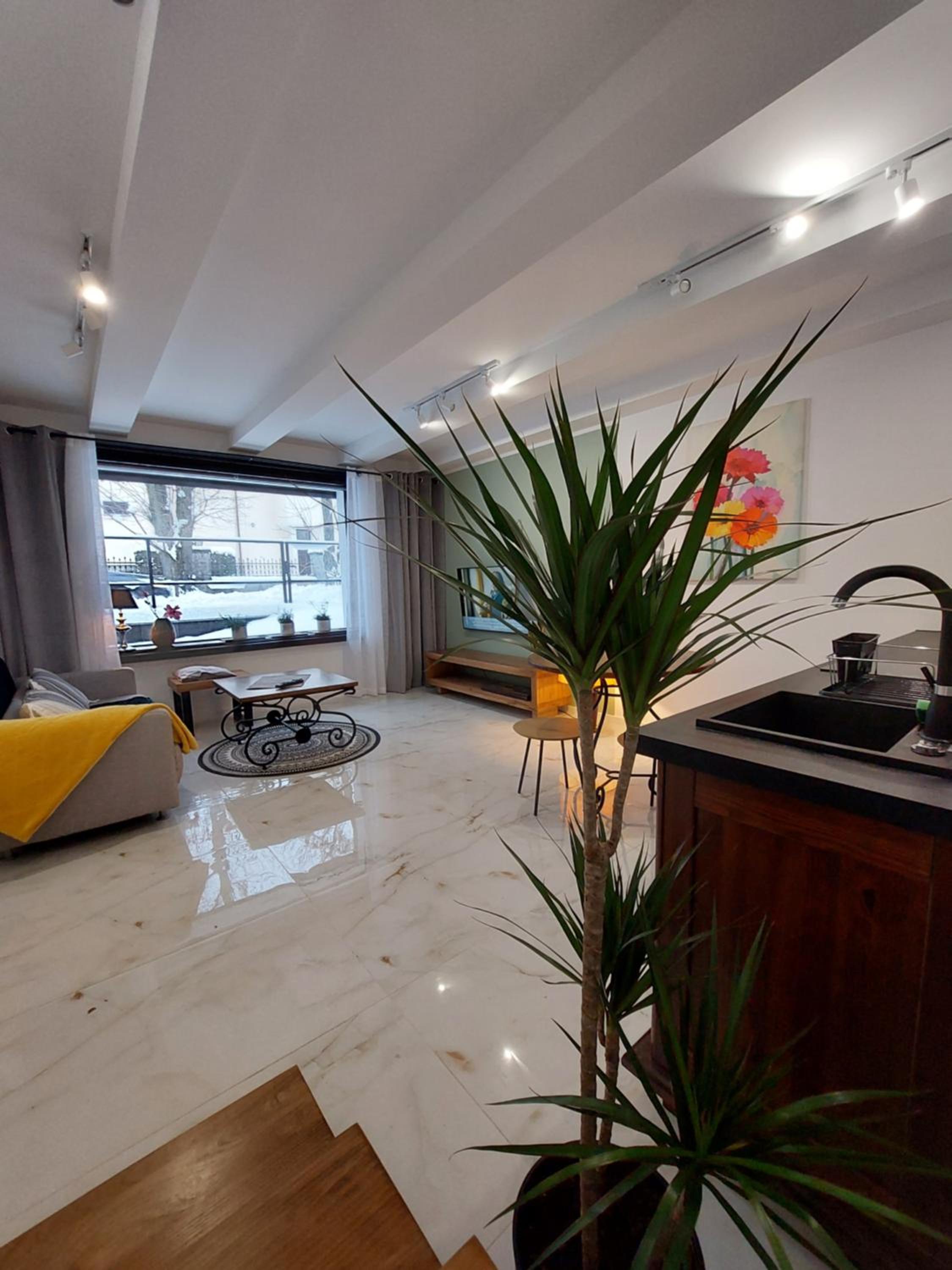 One-Bedroom Apartment photo 3