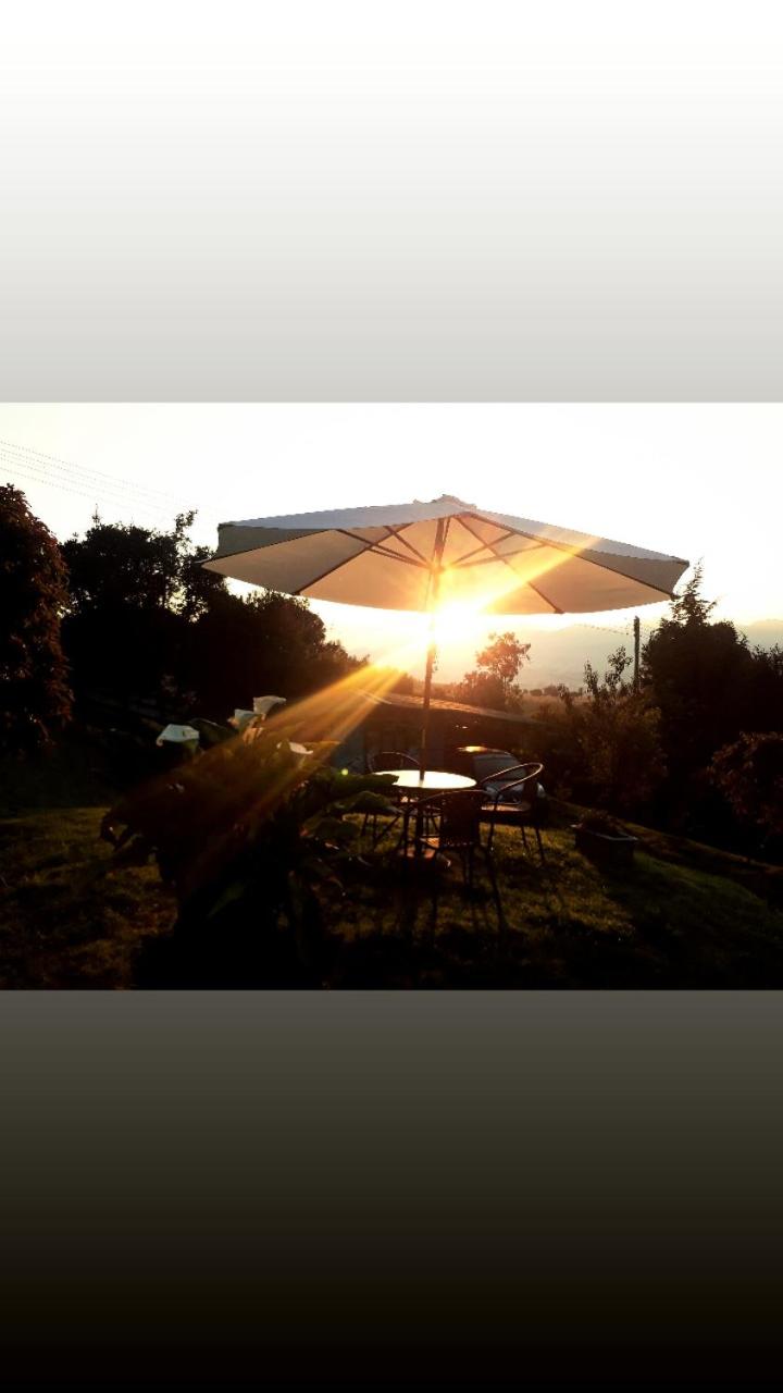 Chalet photo 3
