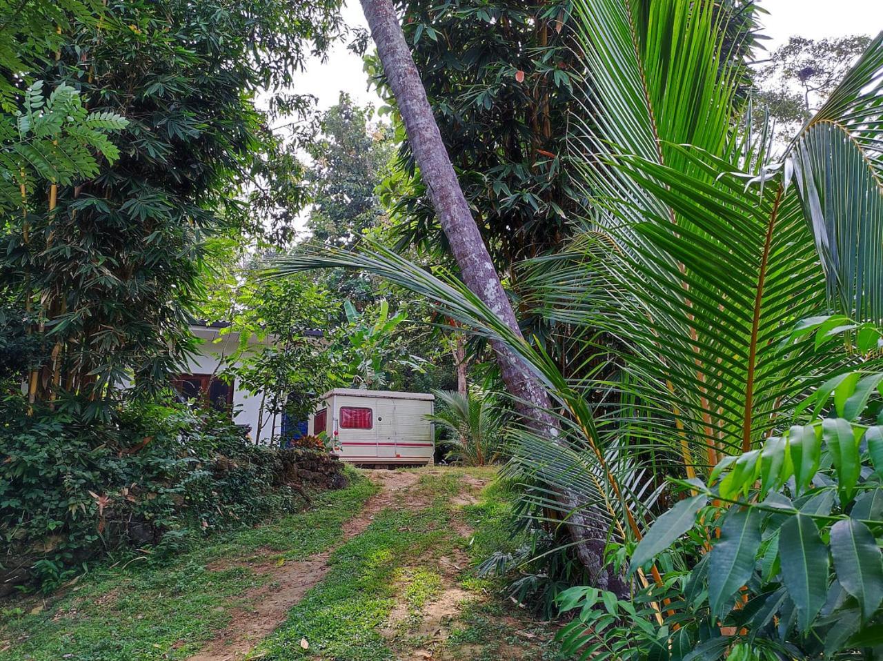 Double Room with Private External Bathroom