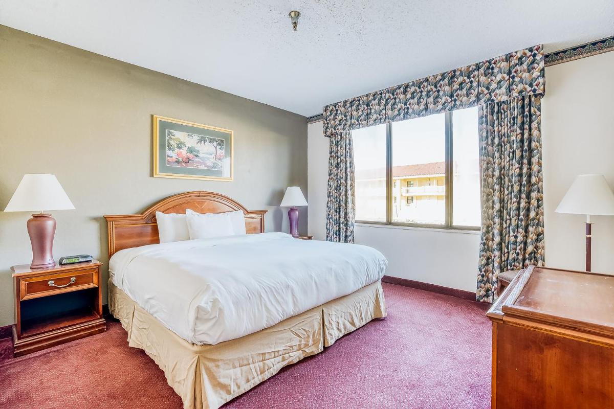 One-Bedroom Suite photo 2