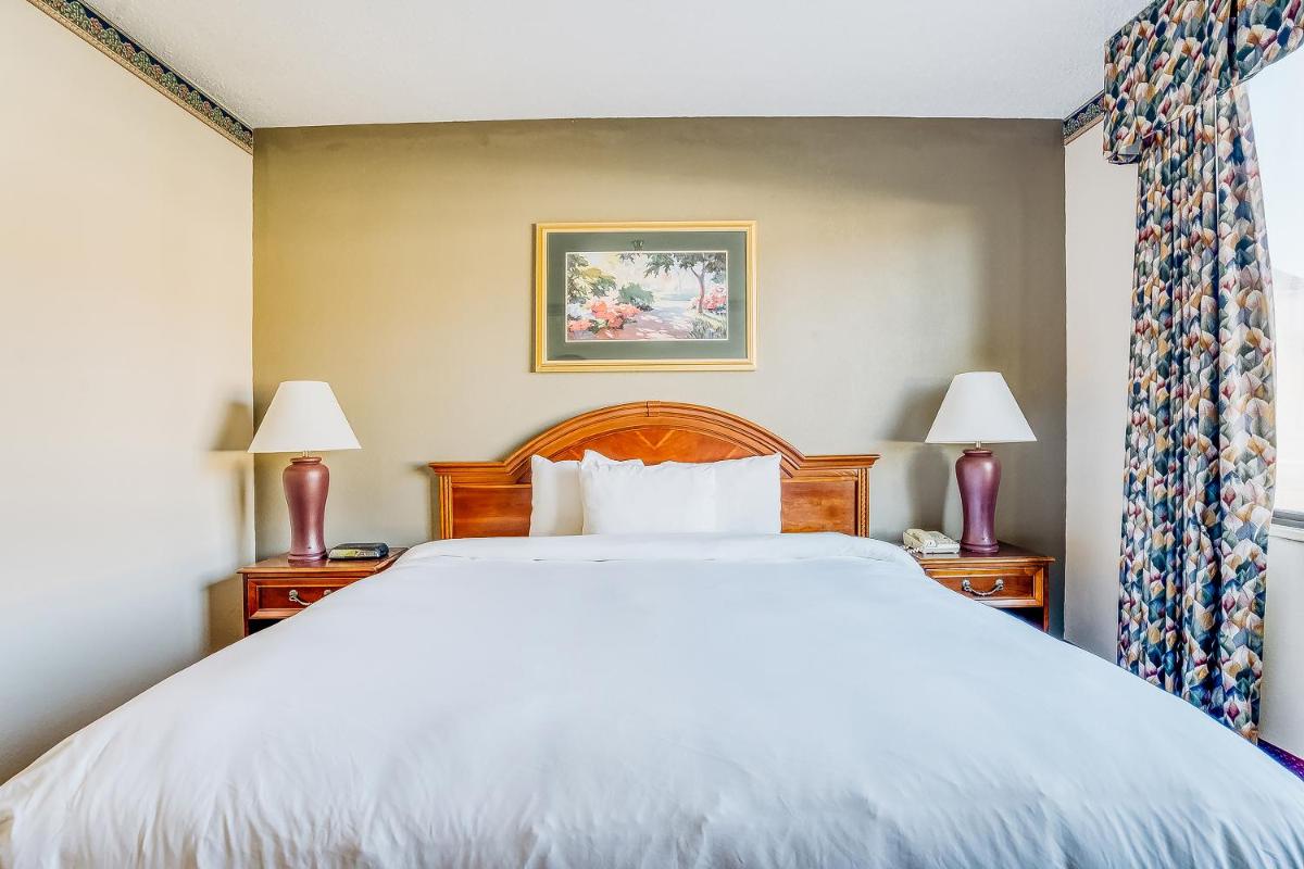 One-Bedroom Suite photo 3