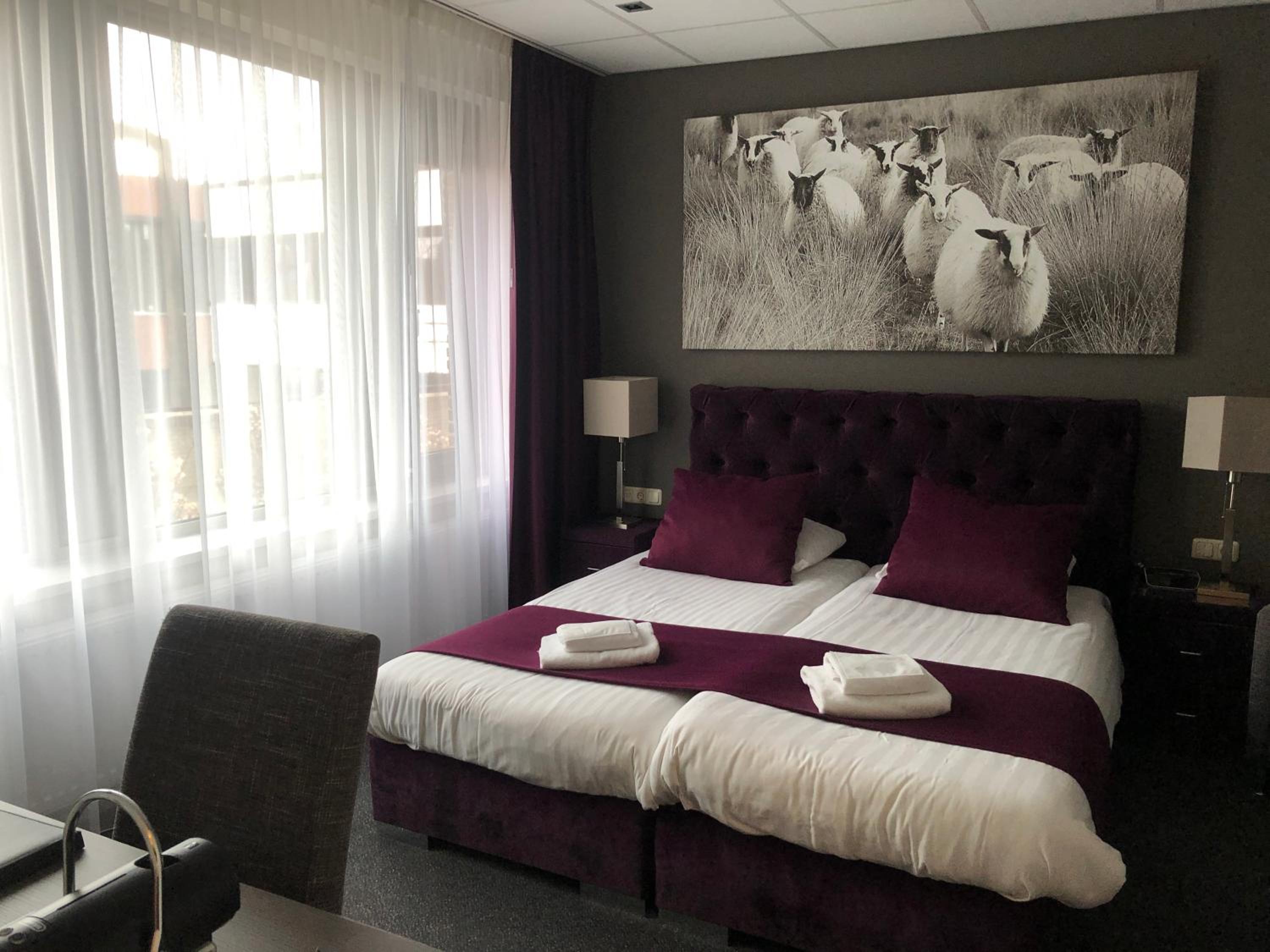 Deluxe Suite - Photo 8