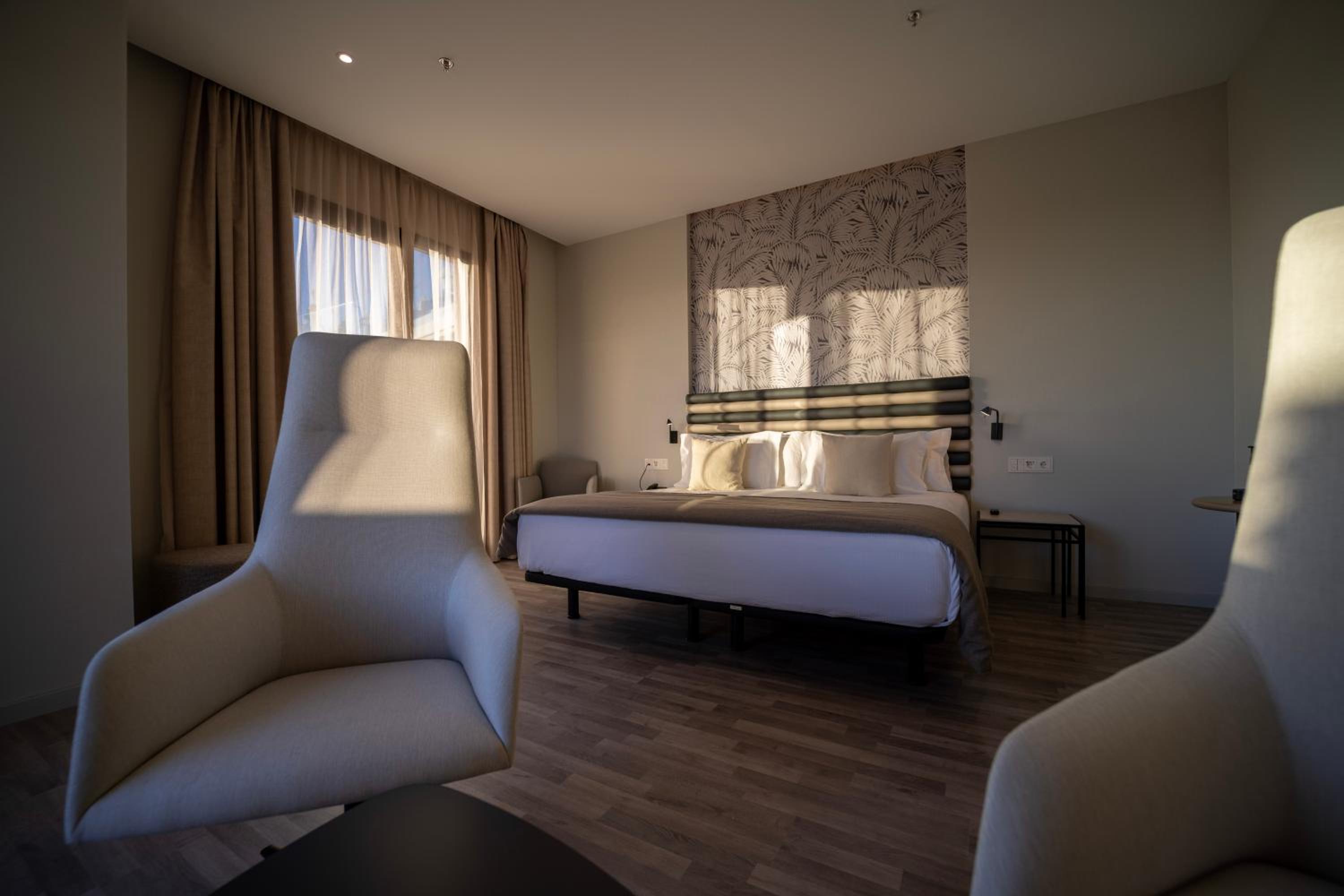 Suite - Photo 4