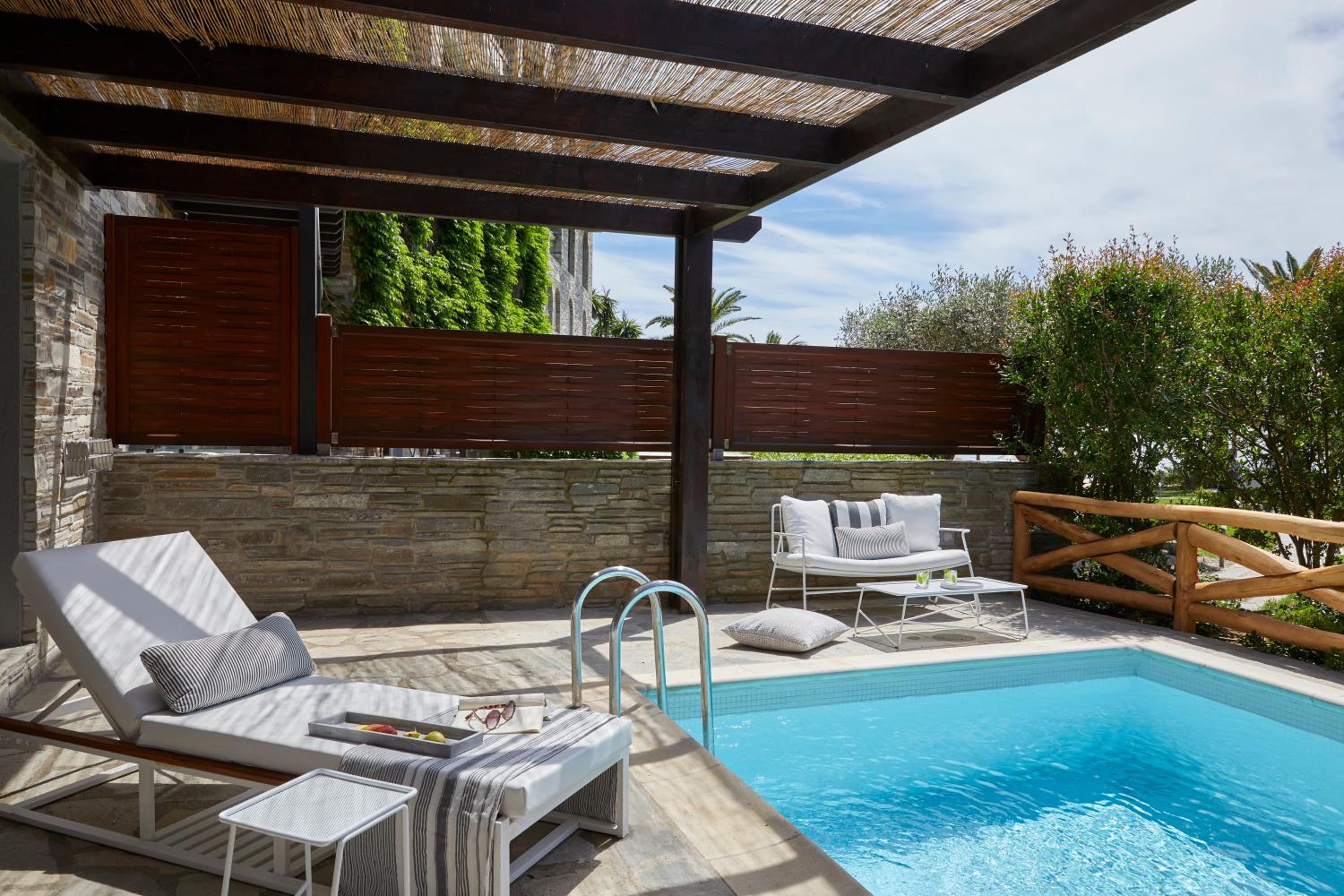 Suite with Private Pool (Nero) photo 2