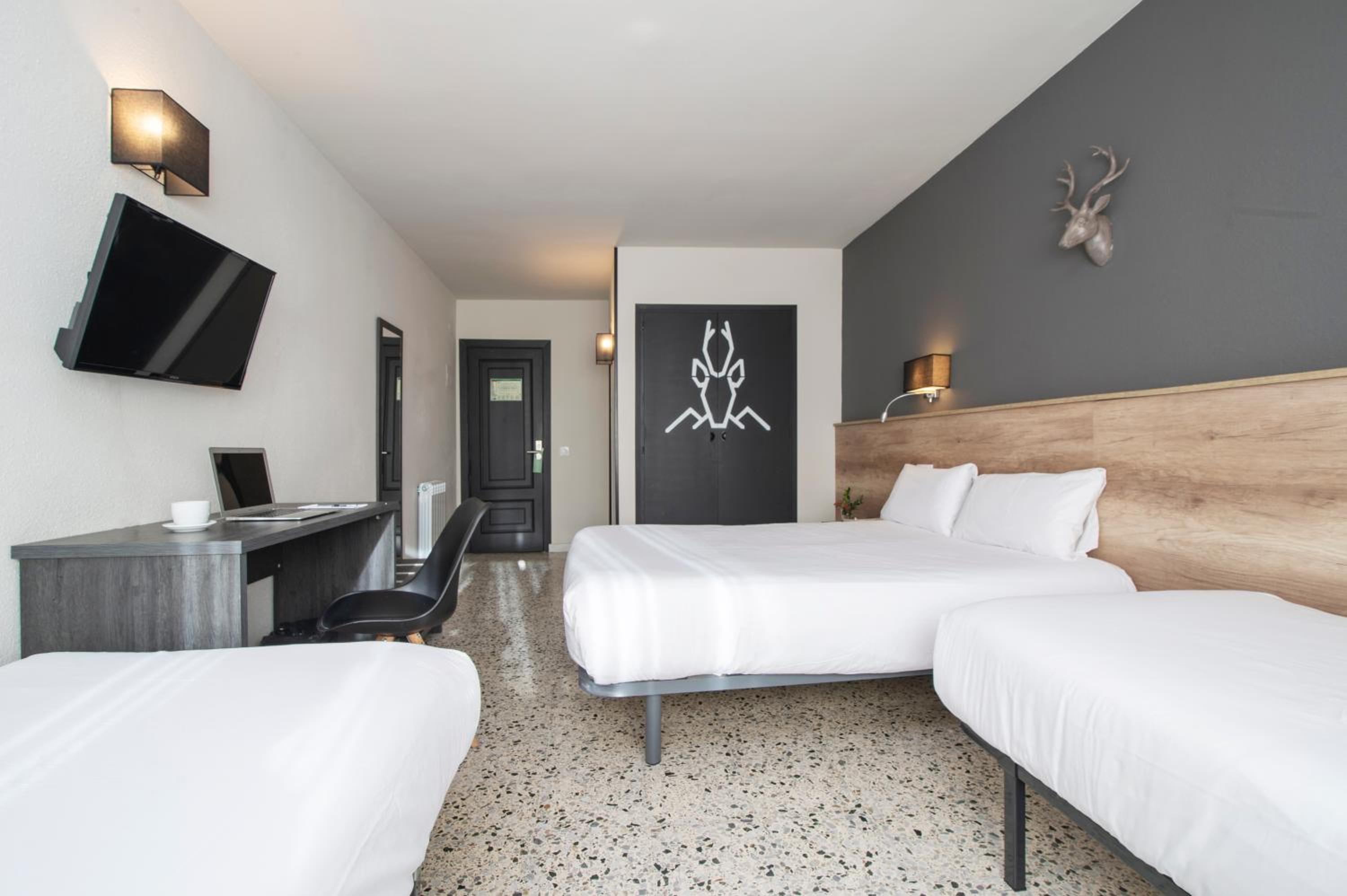 Superior Quadruple Room