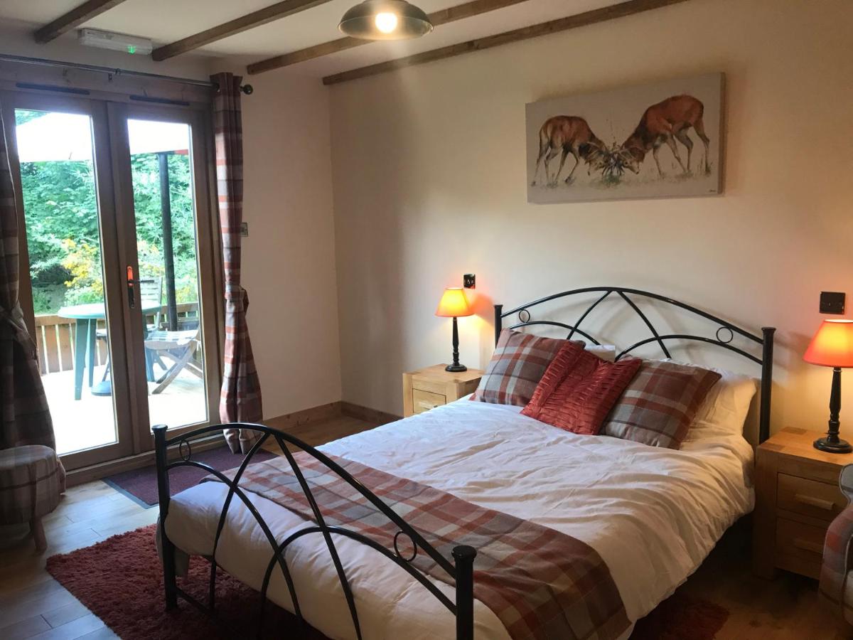 One-Bedroom Apartment - Photo 3