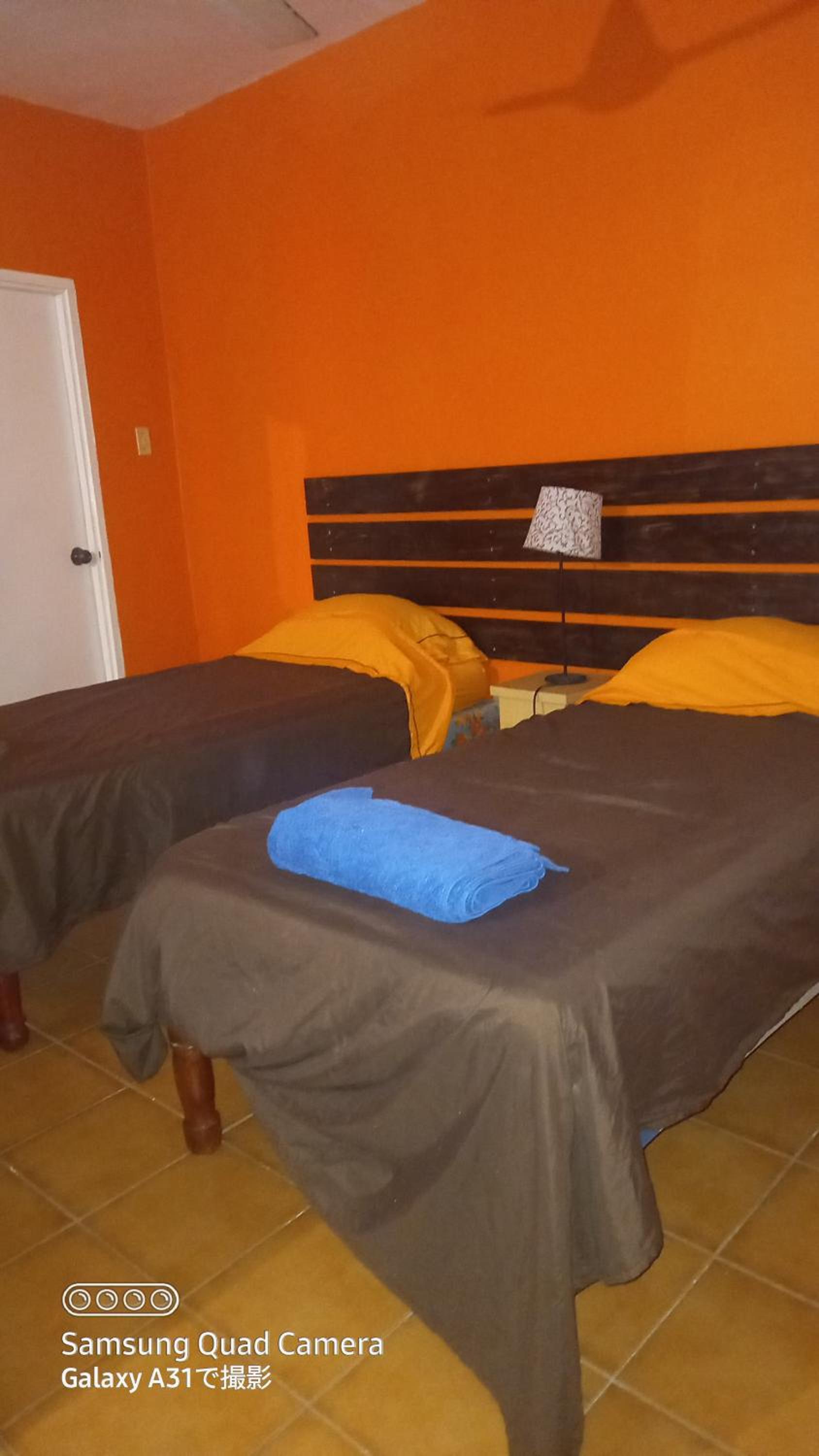 Deluxe Twin Room photo 2