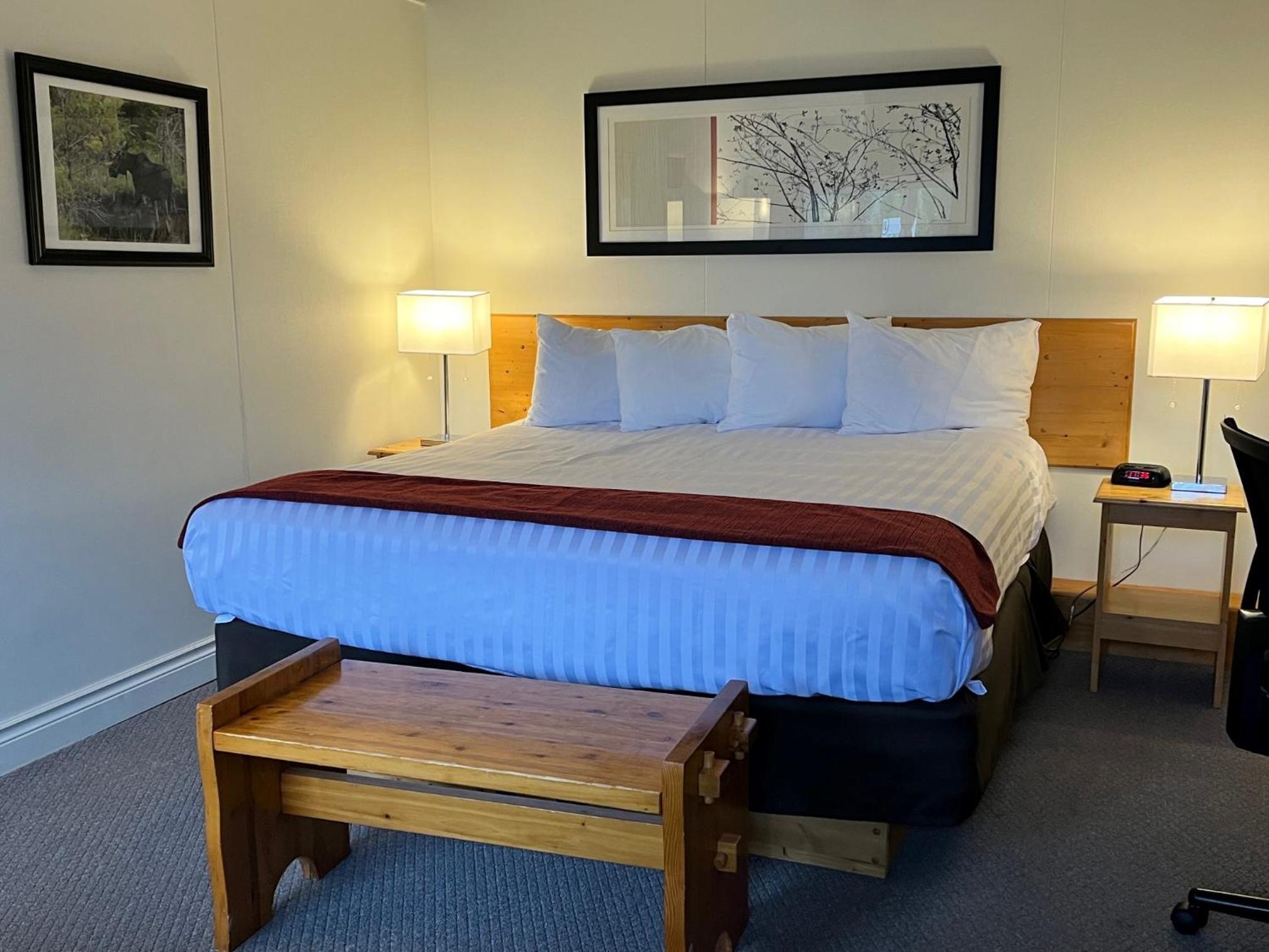 Standard King Room