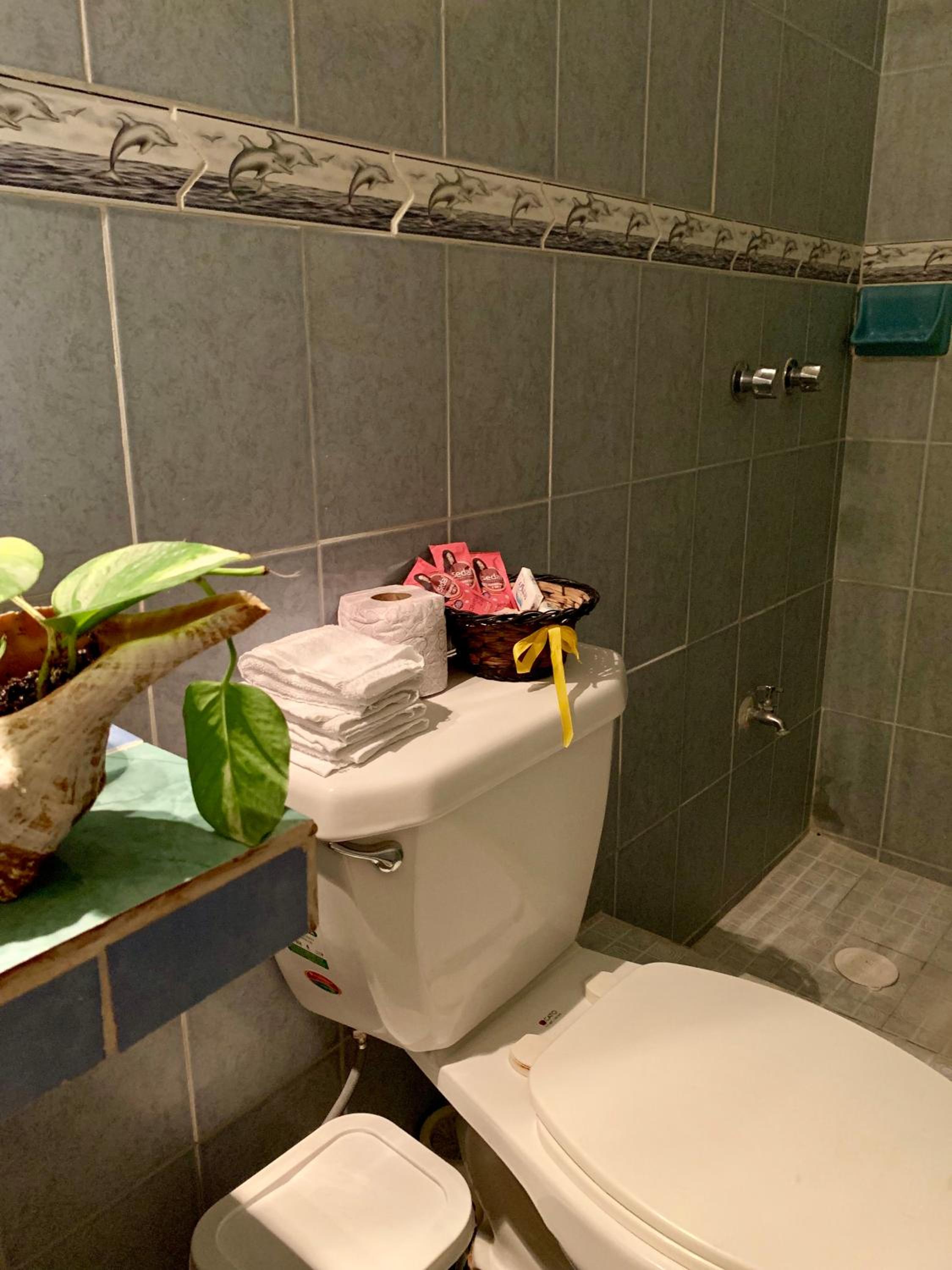 Apartment - Ground Floor - Photo 7