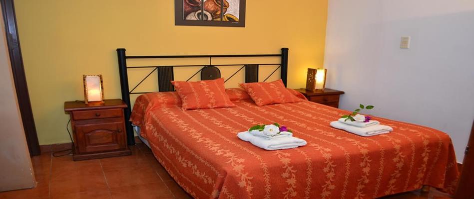 Bungalow (2 Adults) photo 3