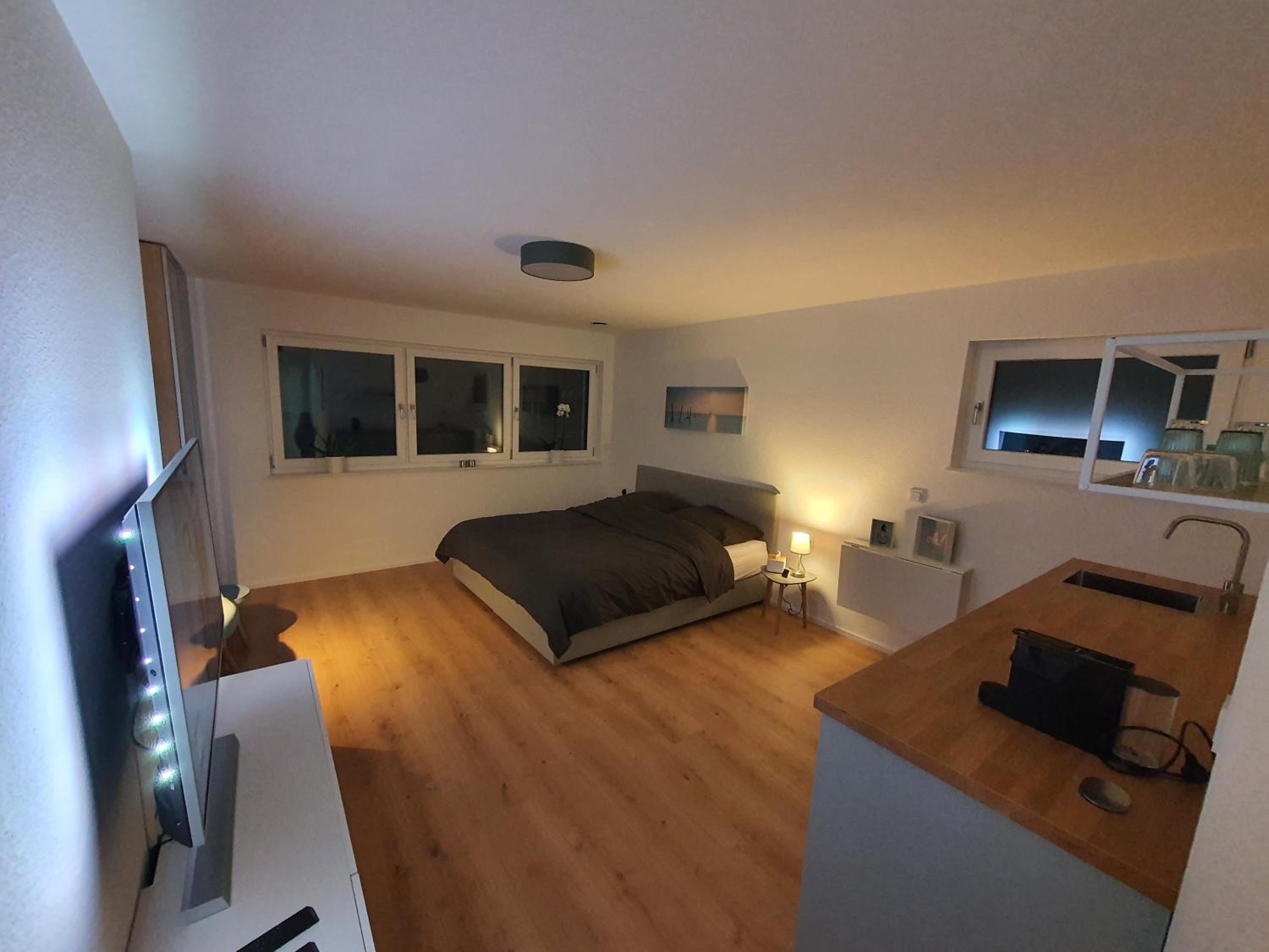 One-Bedroom Apartment - Photo 13