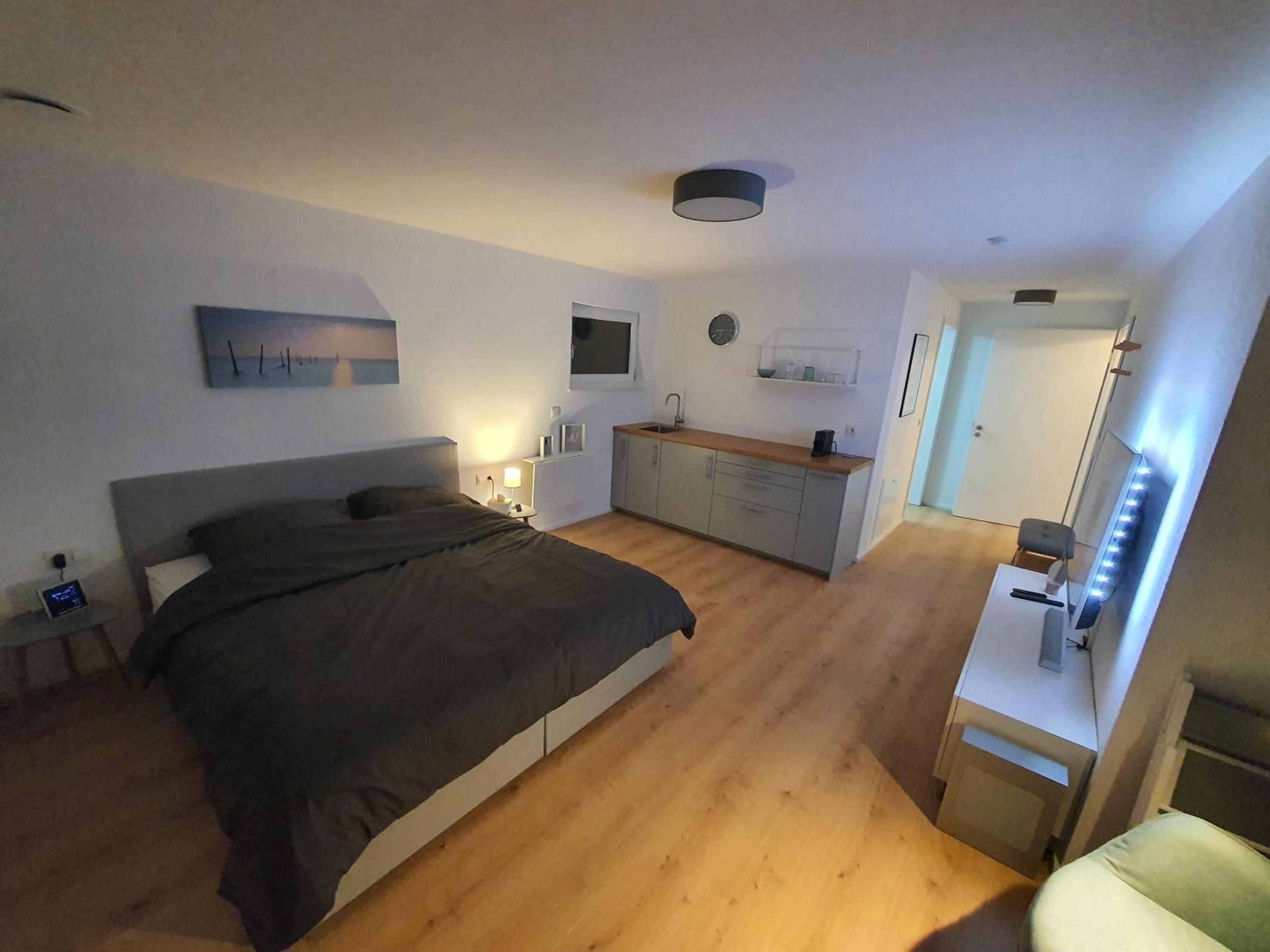 One-Bedroom Apartment - Photo 4