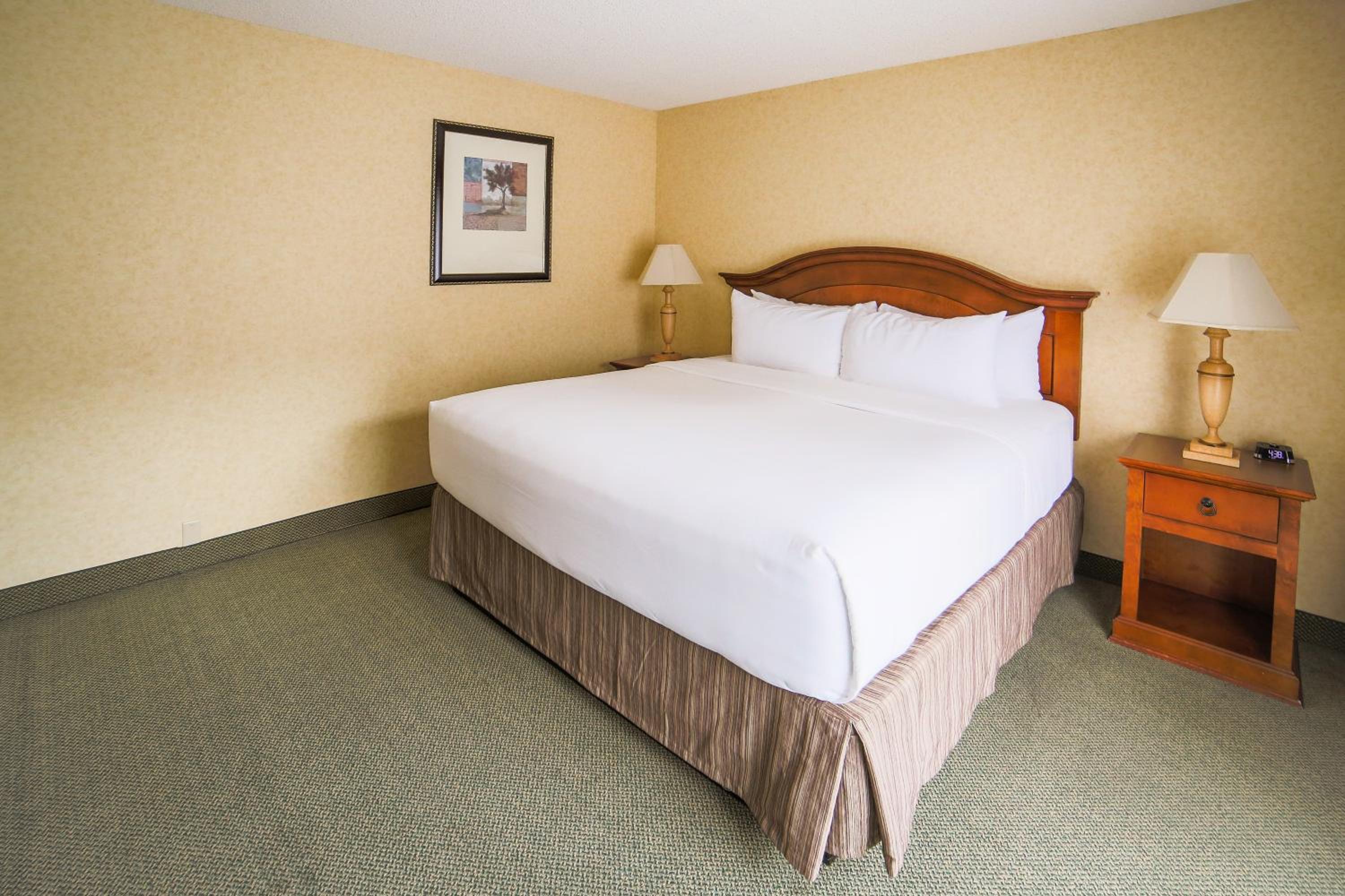 King Room - Photo 2