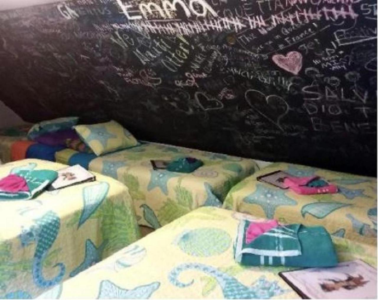 Single Bed in Mixed Dormitory Room with Shared Bathroom  photo 1