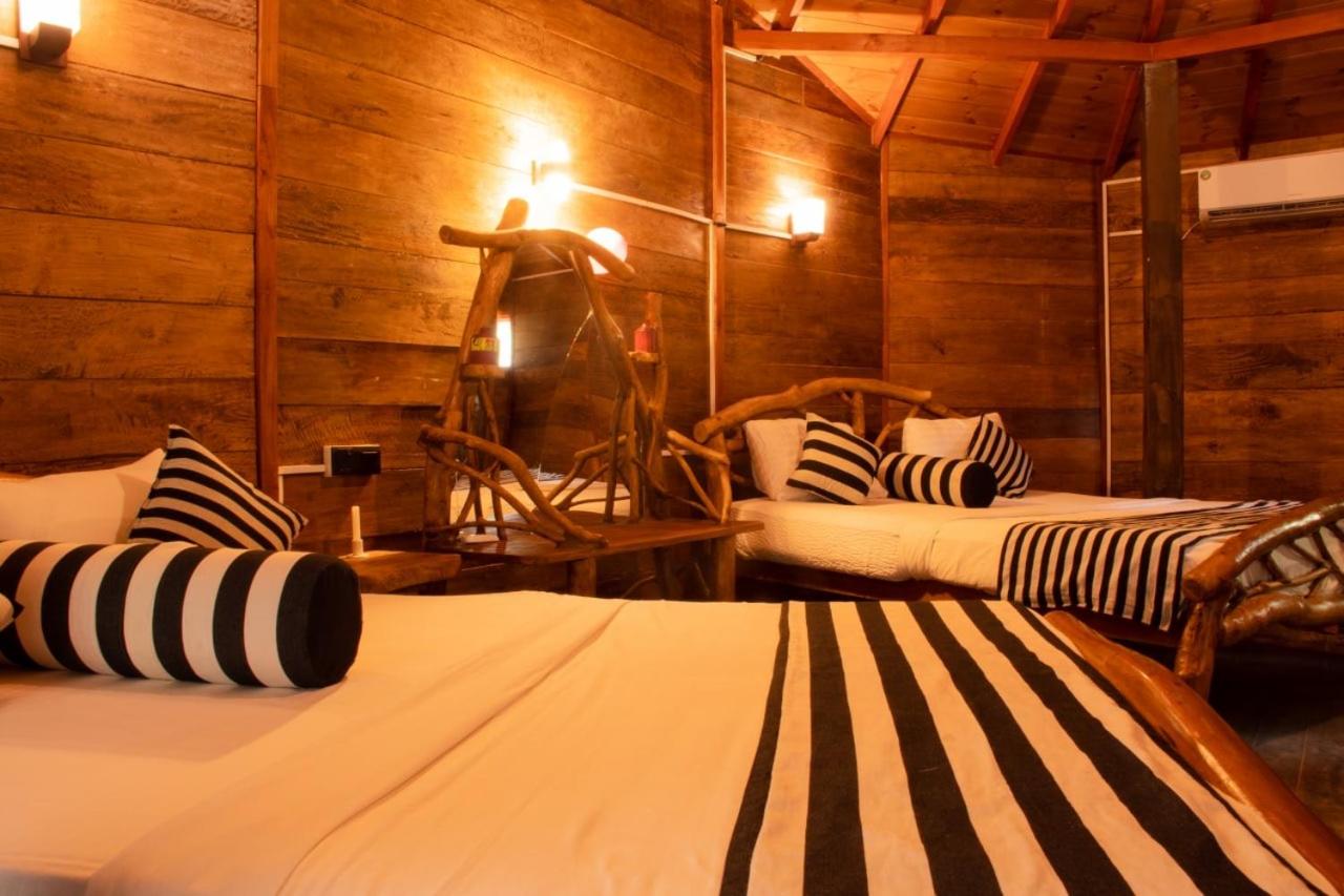 Tree House photo 2