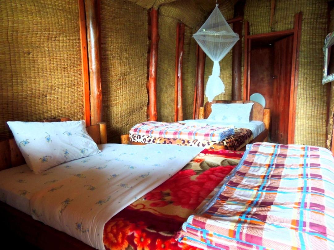 4-Bed Mixed Dormitory Room