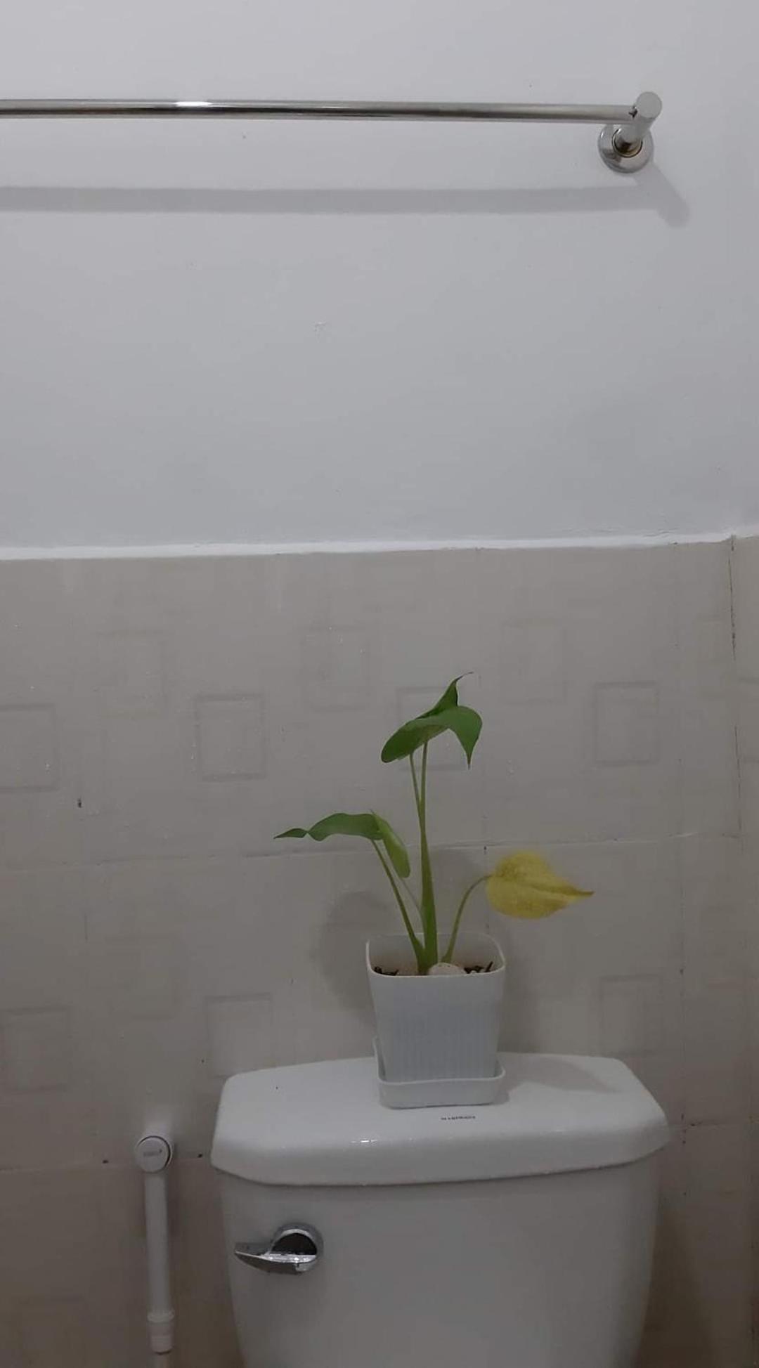 One-Bedroom Apartment - Photo 8