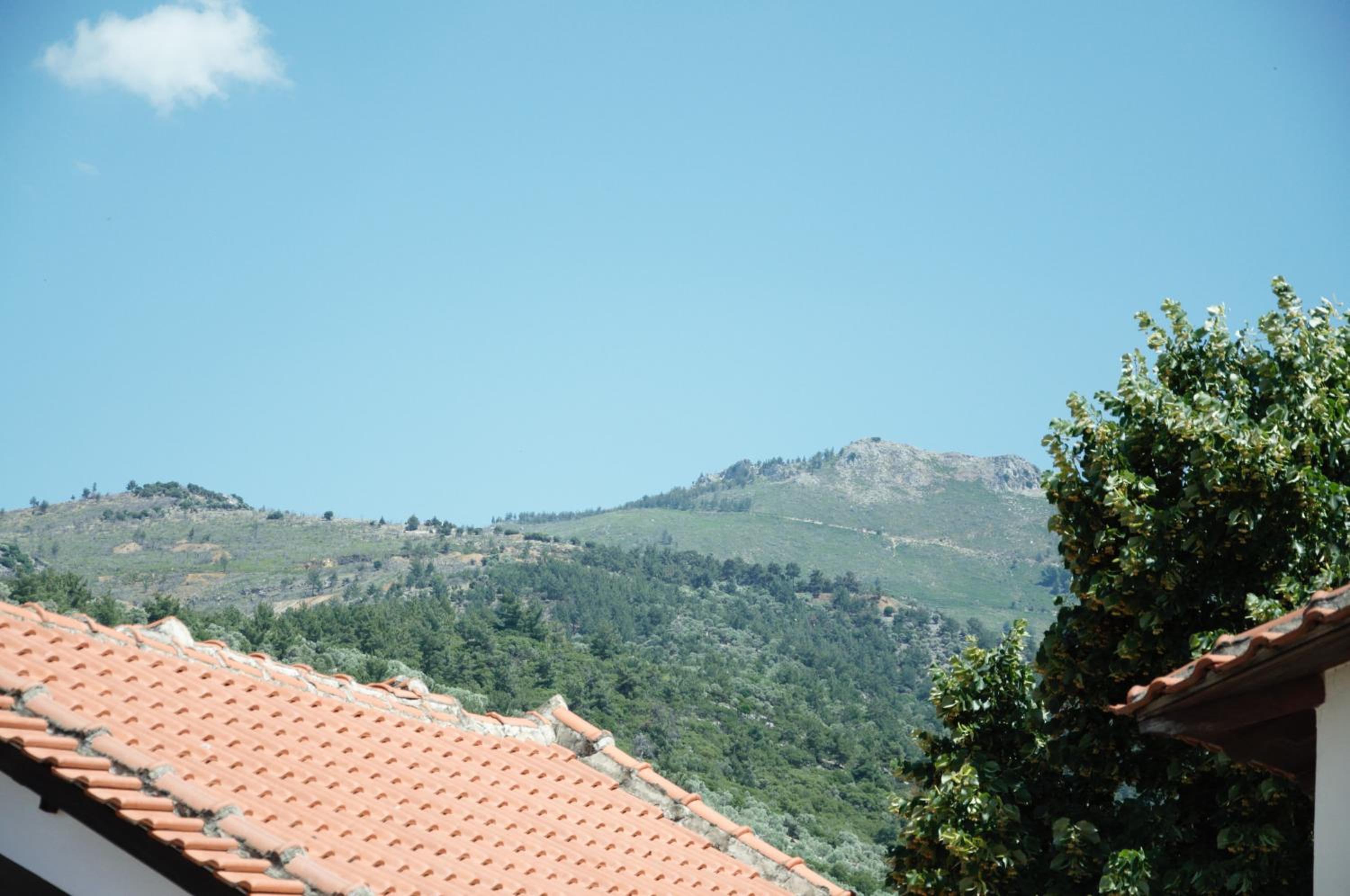 Standard Villa photo 2