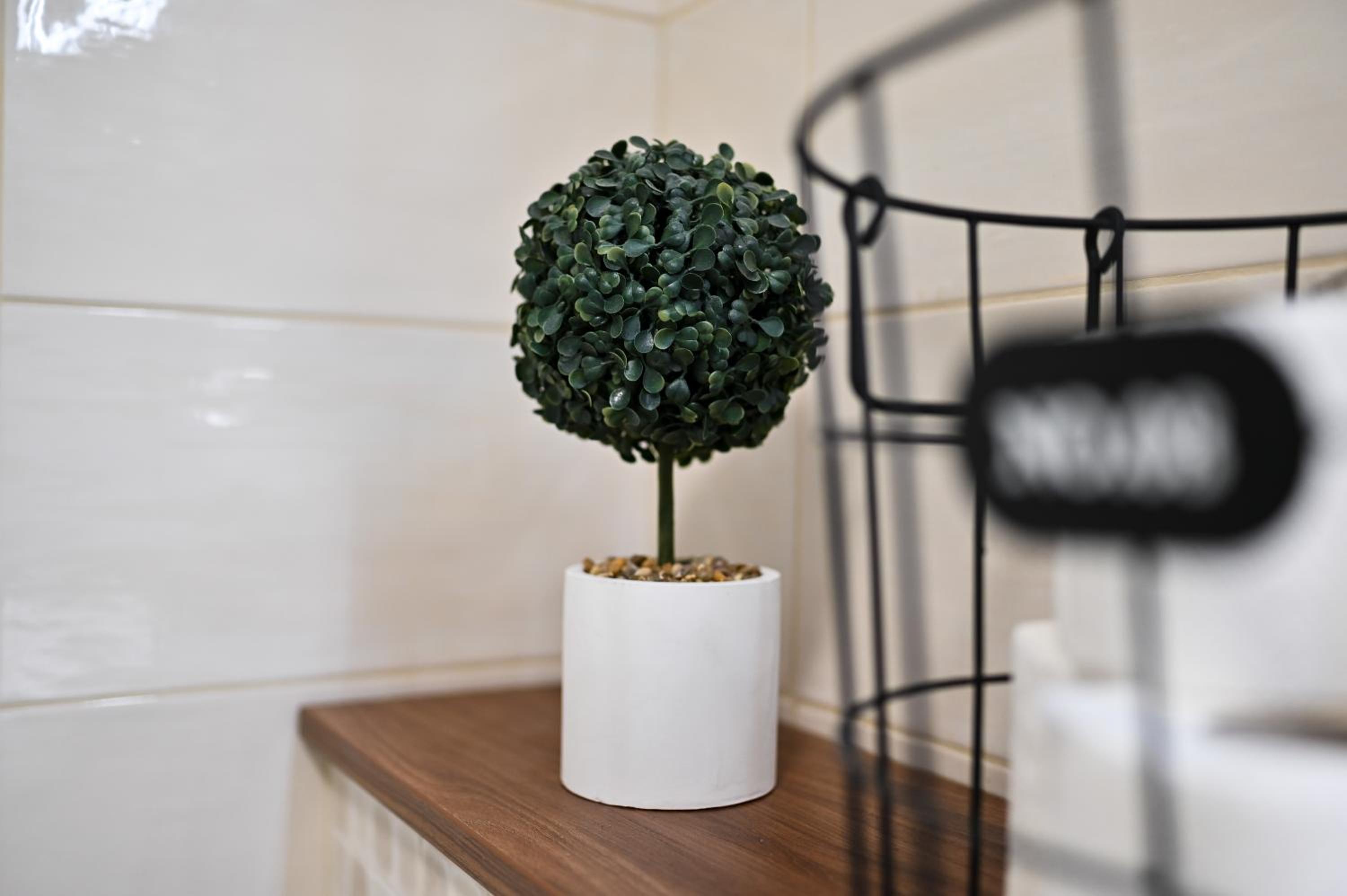 Apartment - Photo 24