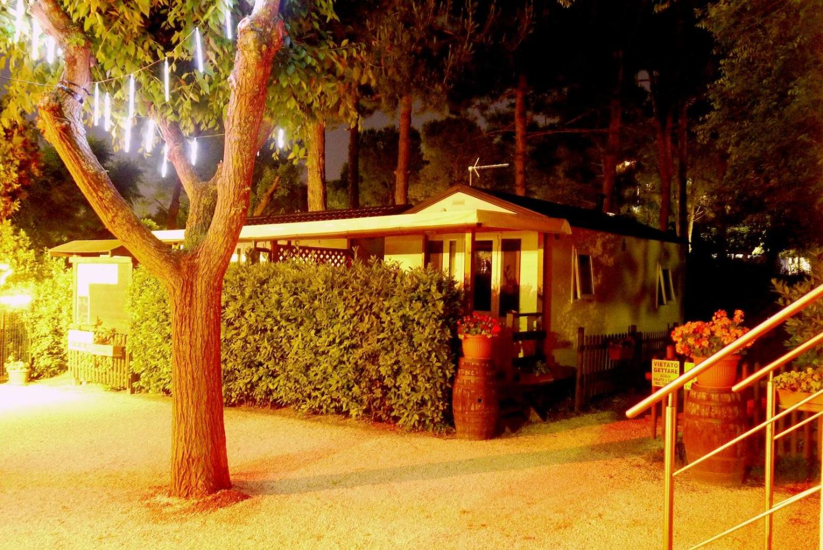 Mobile Home photo 3