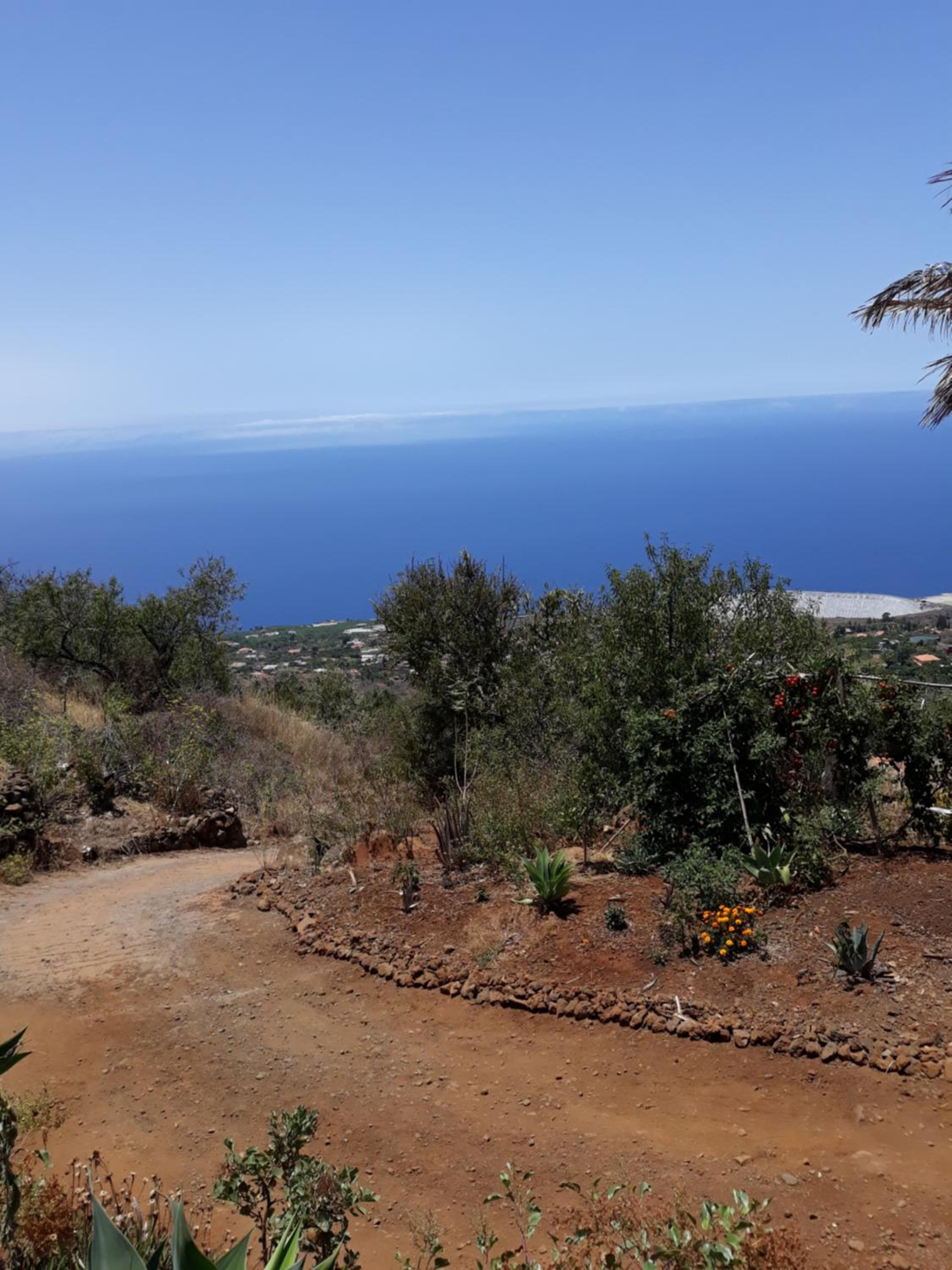Deluxe Bungalow with Sea View photo 2