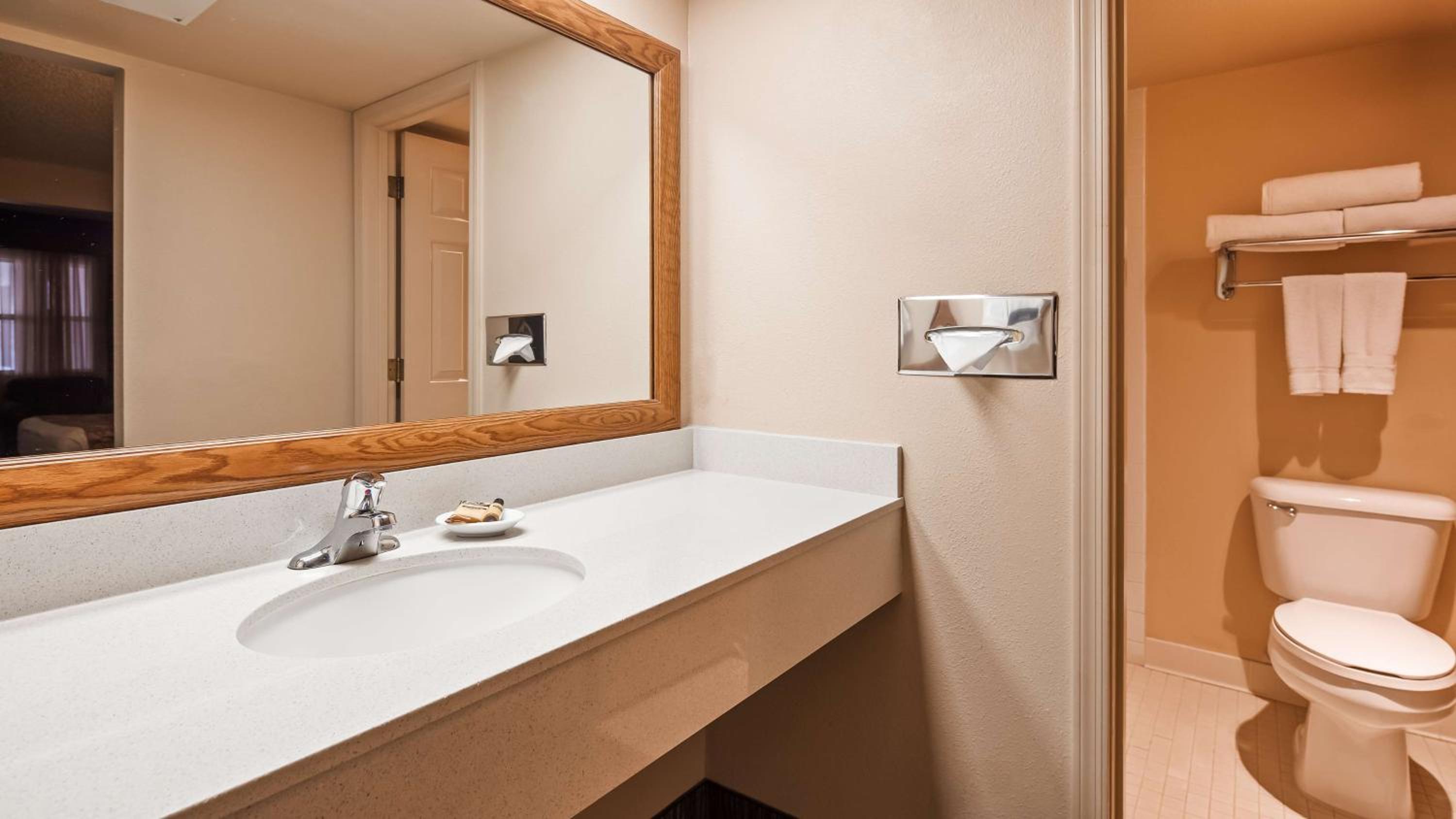 King Room - Pet Friendly/Non-Smoking photo 2