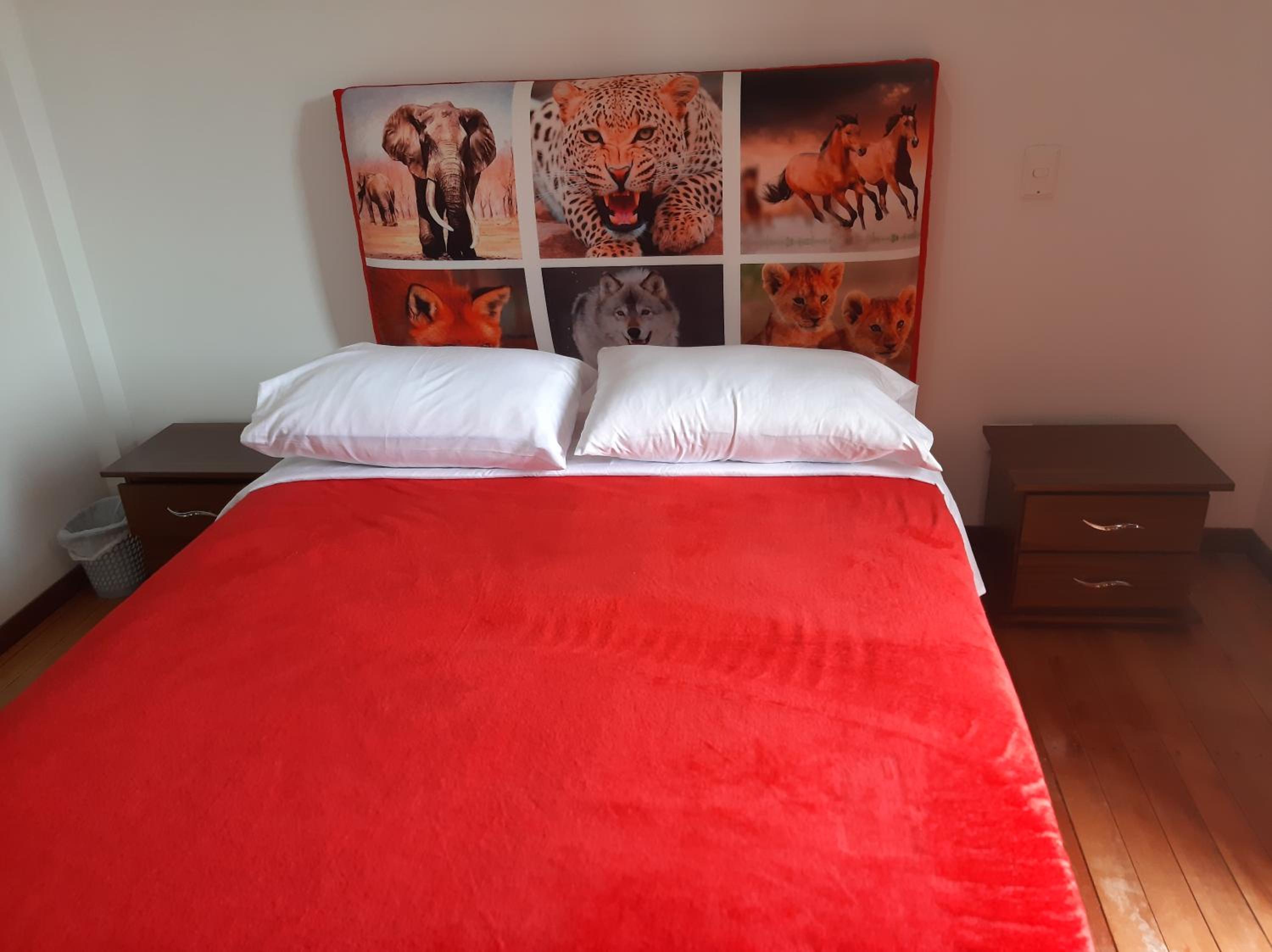 Double Room photo 1