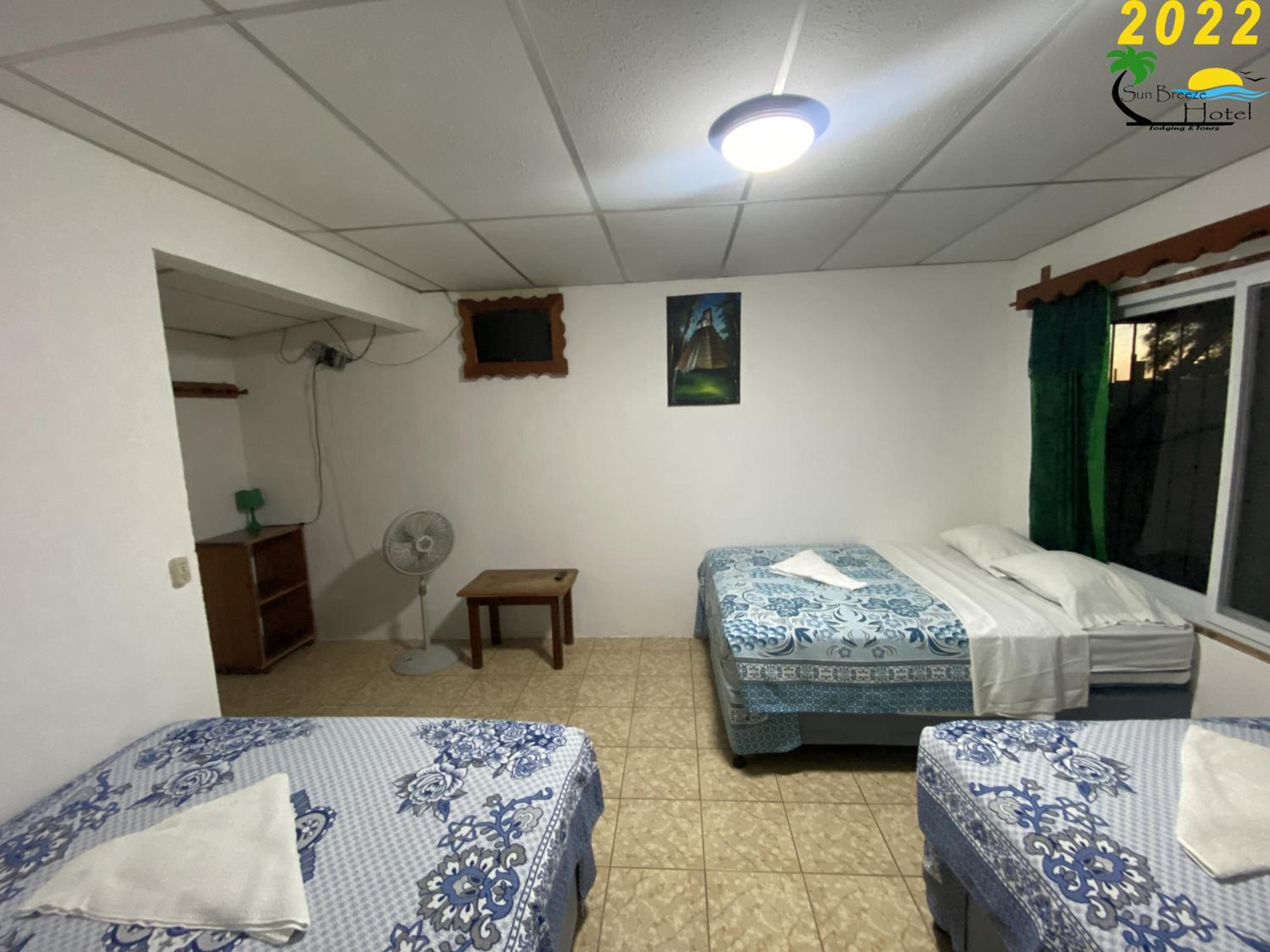 Triple Room photo 2
