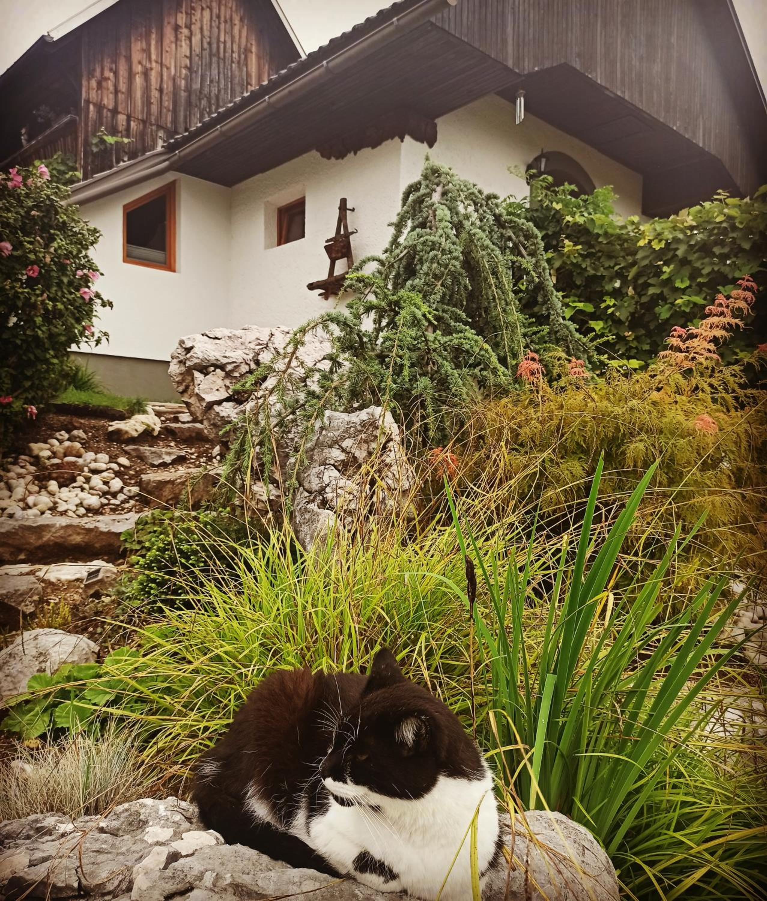 Studio With Terrace photo 3