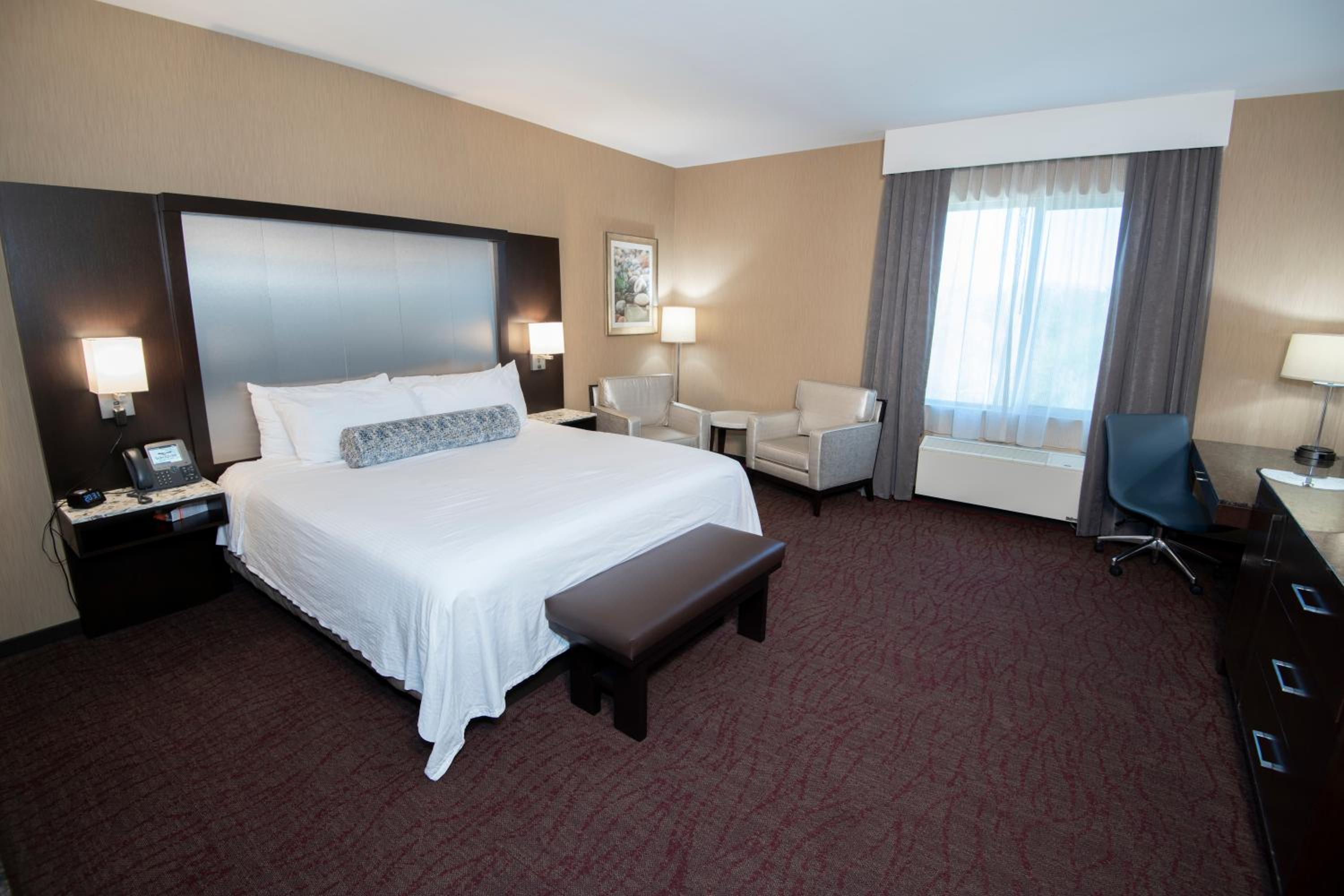 Deluxe King Suite photo 2