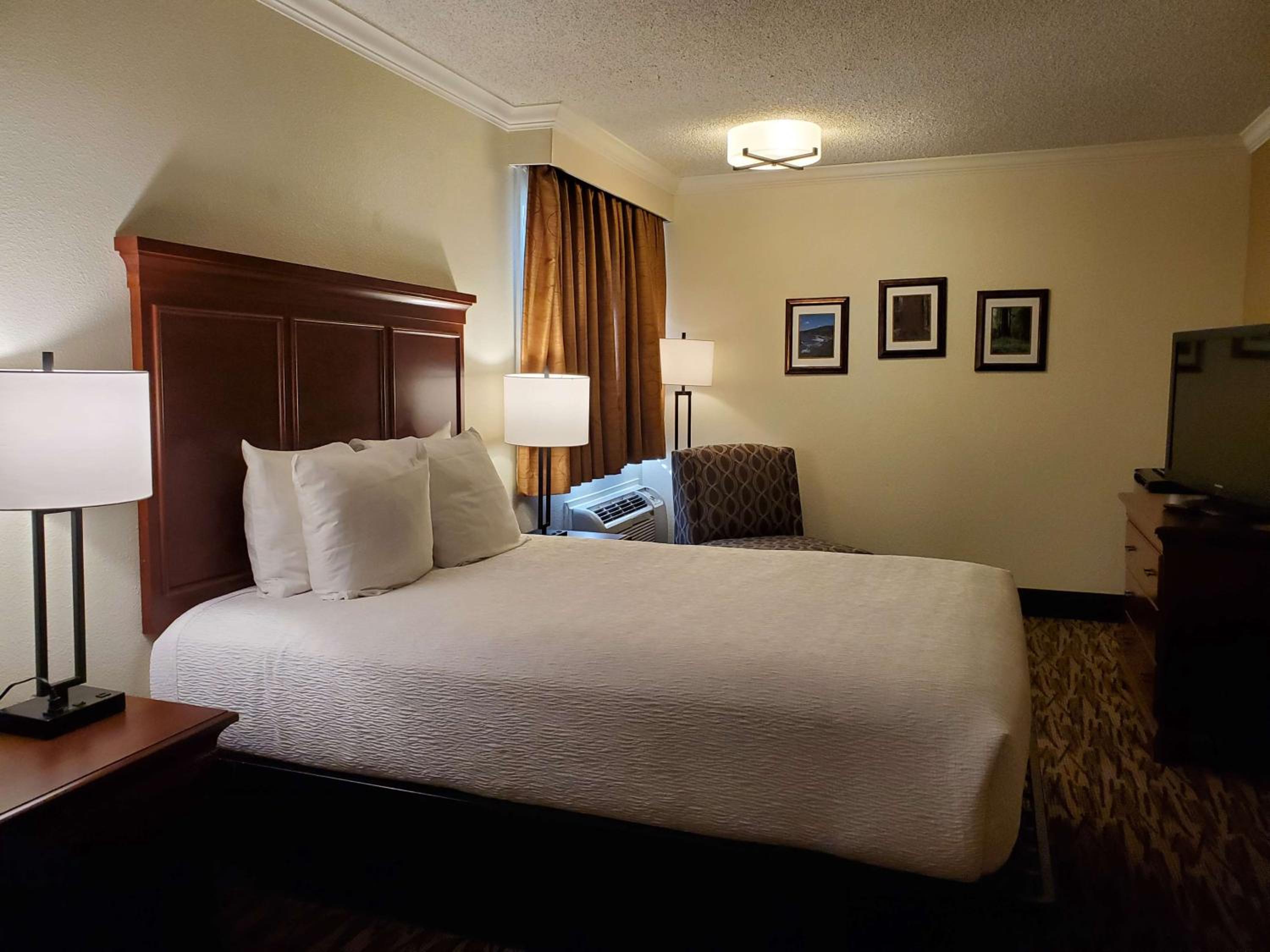 Queen Room photo 1